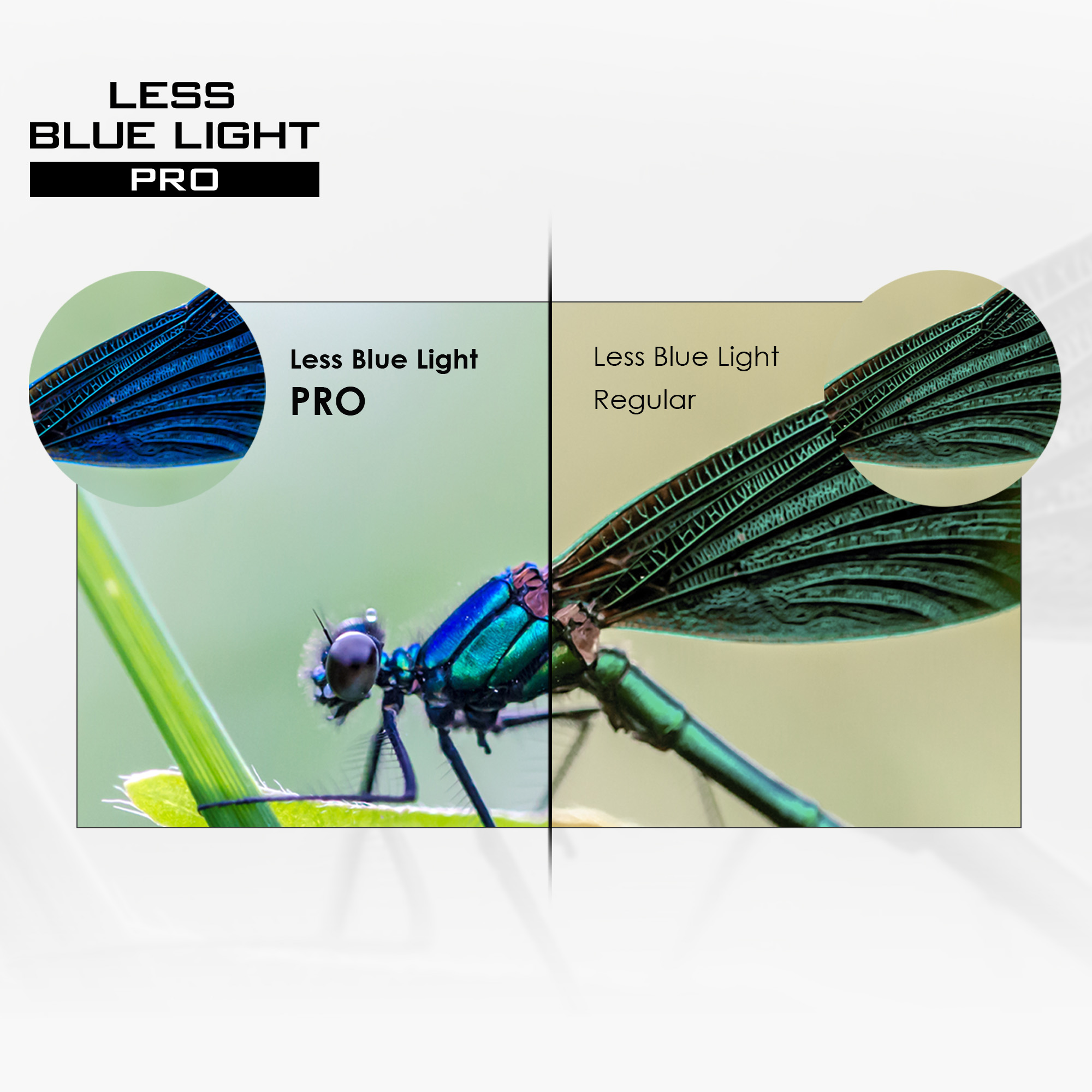 L'immagine mostra una libellula con sfumature verdi e blu. Il testo recita 'Less Blue Light PRO' e 'Less Blue Light Regular'.