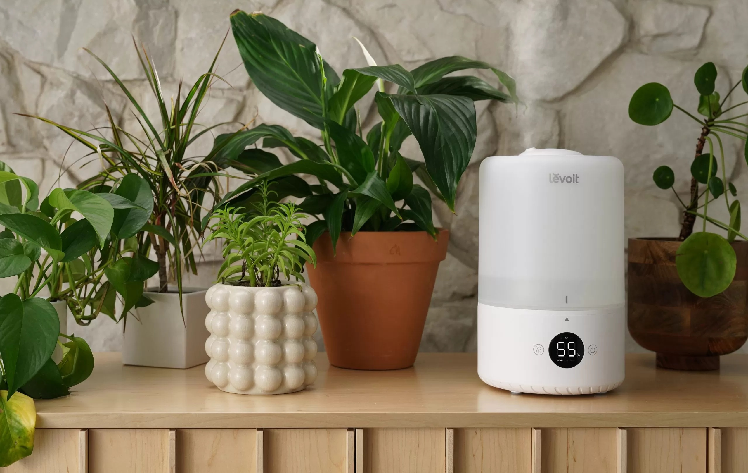 Biały nawilżacz z cyfrowym wyświetlaczem, otoczony doniczkowymi roślinami na drewnianej powierzchni.