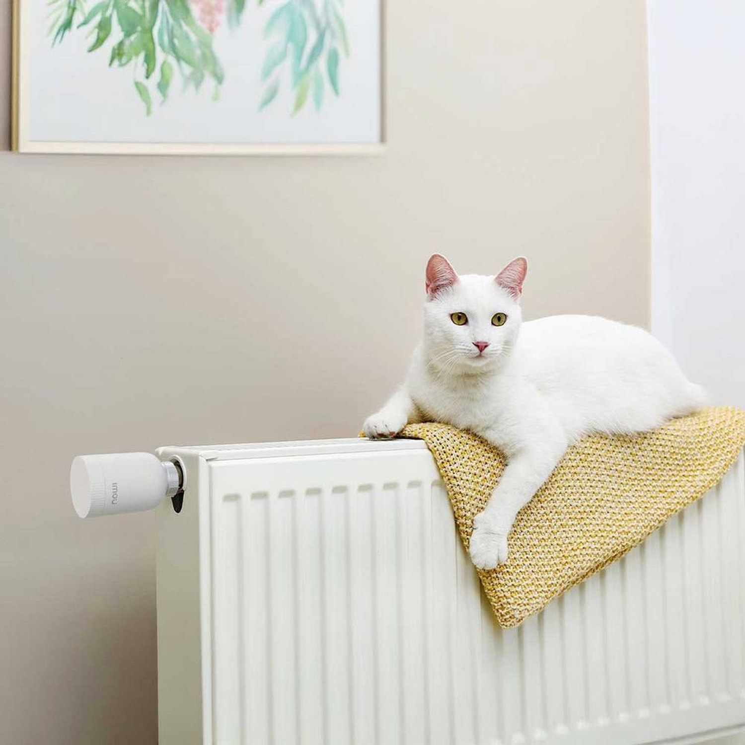 A white cat rests on a yellow blanket atop a radiator. A painting hangs above. A white thermostat is on the radiator.