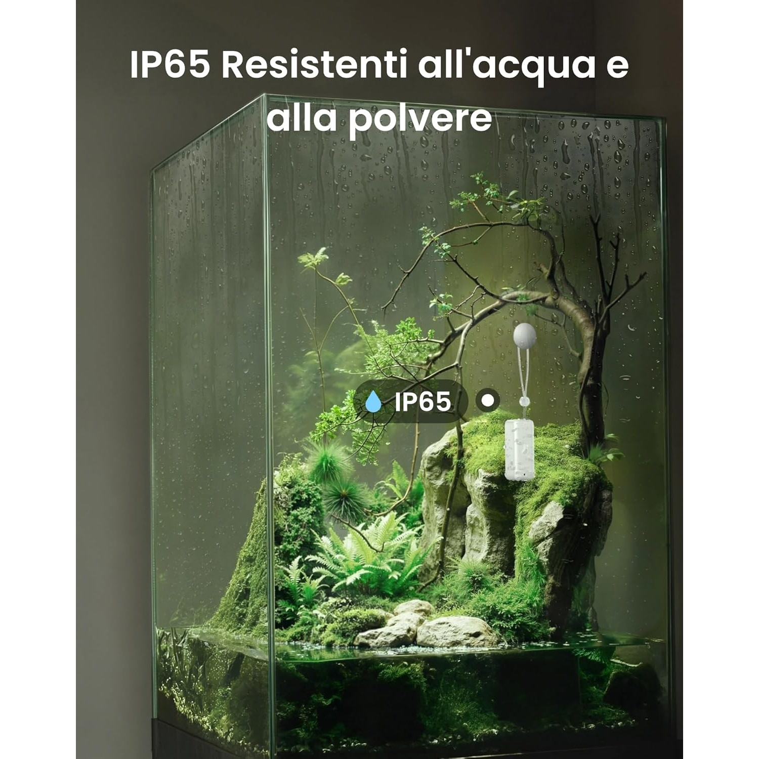 Un terrario di vetro trasparente con un paesaggio in miniatura. Contiene piante, rocce e acqua, con goccioline. Testo: IP65.