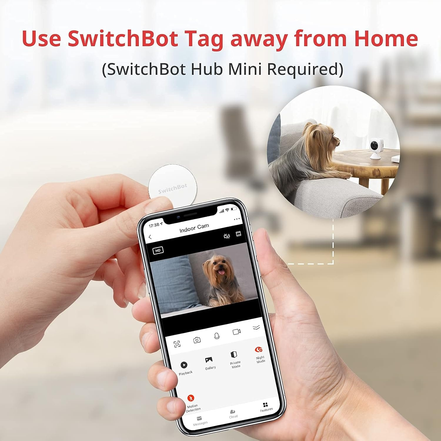 Una persona tiene in mano un telefono che mostra un cane in una casa. Nell'altra mano c'è un'etichetta SwitchBot. Il testo recita: "Usa SwitchBot Tag lontano da casa".