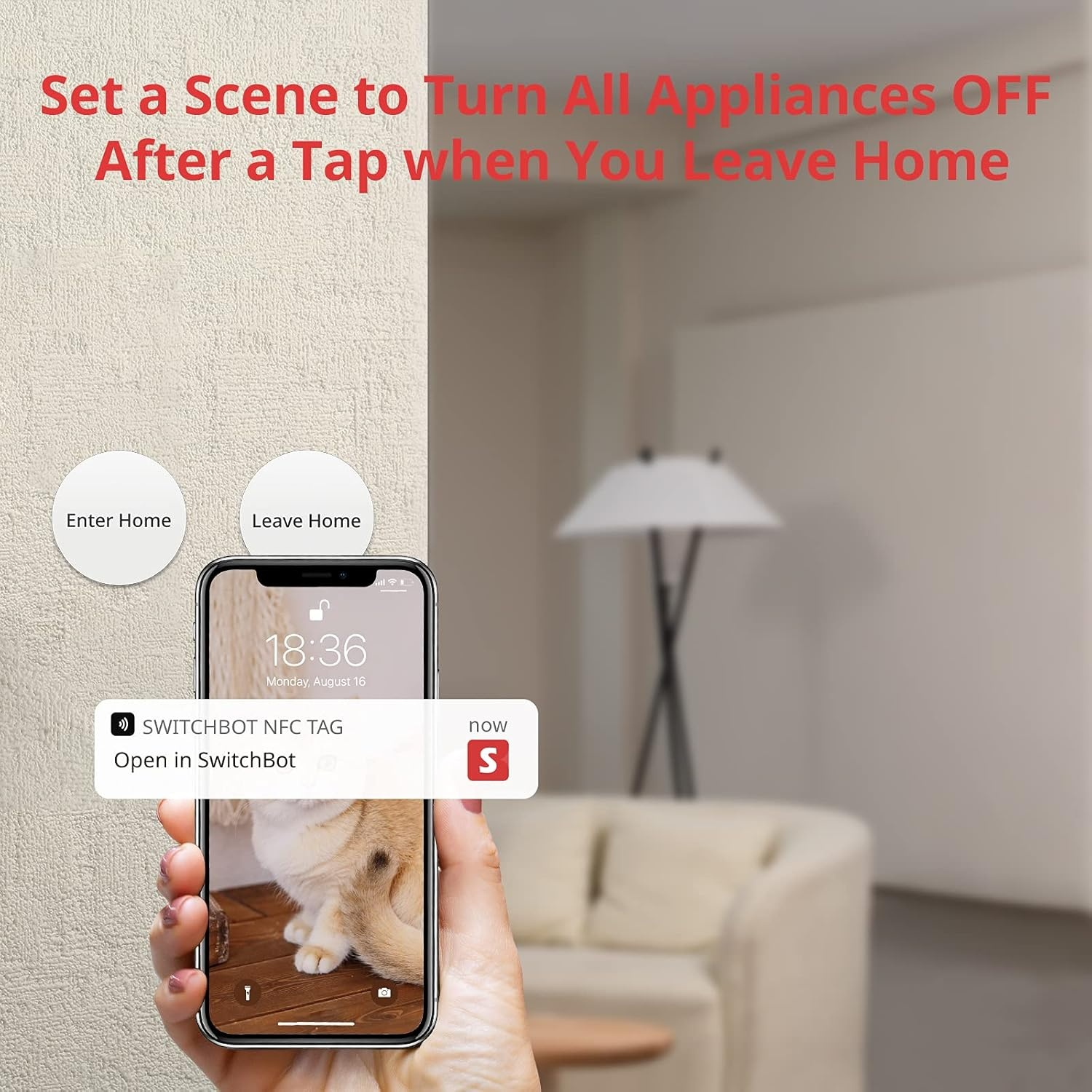 Una mano tiene in mano un telefono che mostra l'immagine di un gatto. Il telefono mostra una notifica sul tag NFC SwitchBot. Testo: Imposta una scena.