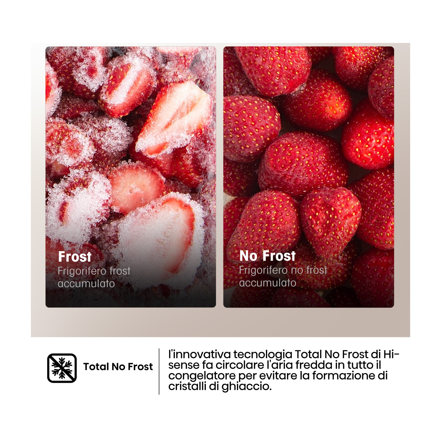L'immagine mostra fragole. Sinistra: fragole ghiacciate. Destra: fragole fresche. Testo: Frost e No Frost. Tecnologia Total No Frost.