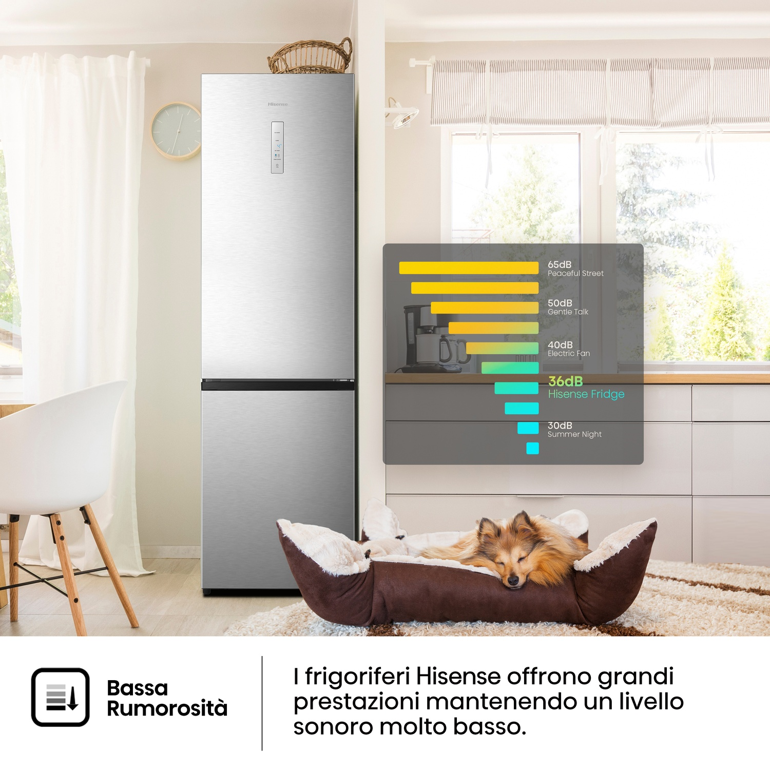 Un frigorifero Hisense accanto a una cuccia con un cane che dorme. Un grafico del livello di rumore mostra il frigorifero a 36 dB.