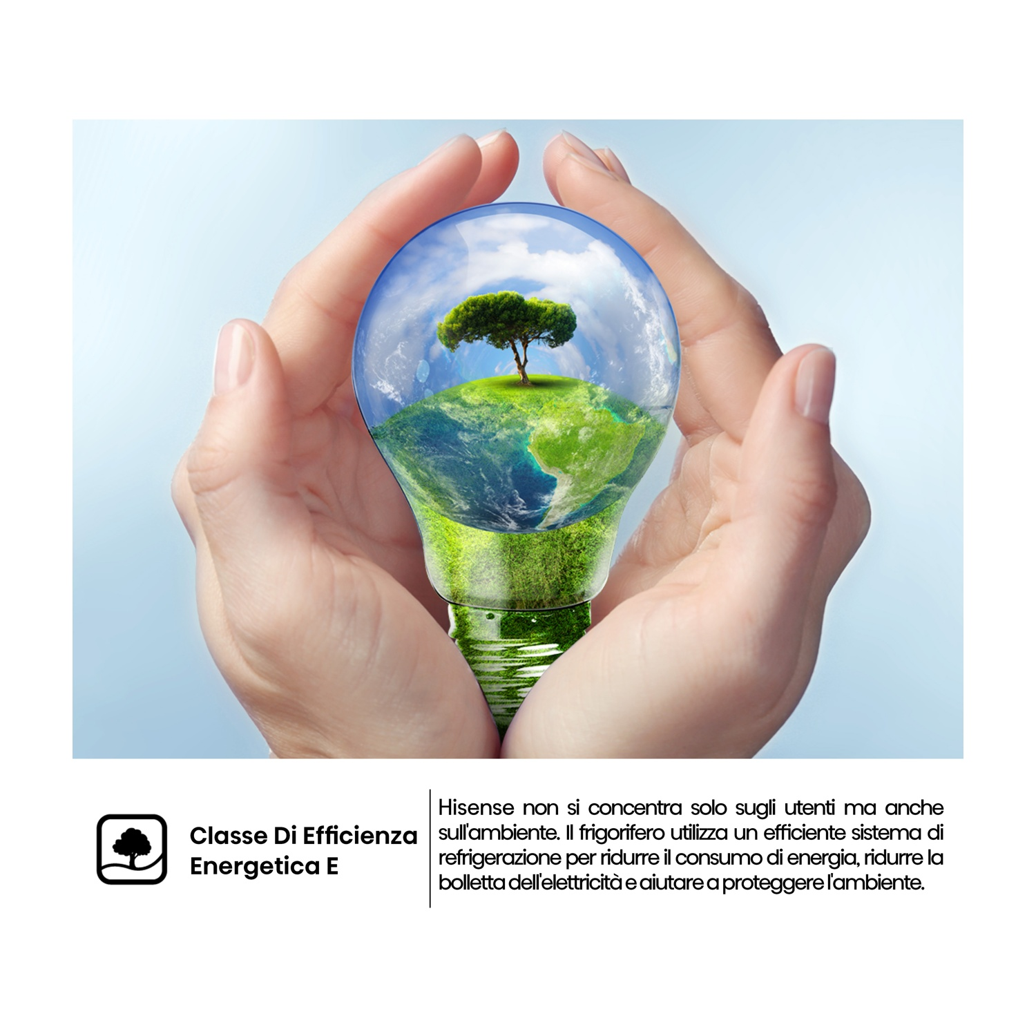 Mani che racchiudono una lampadina con un albero dentro. La lampadina rappresenta la terra. Il testo dice efficienza energetica e ambiente.