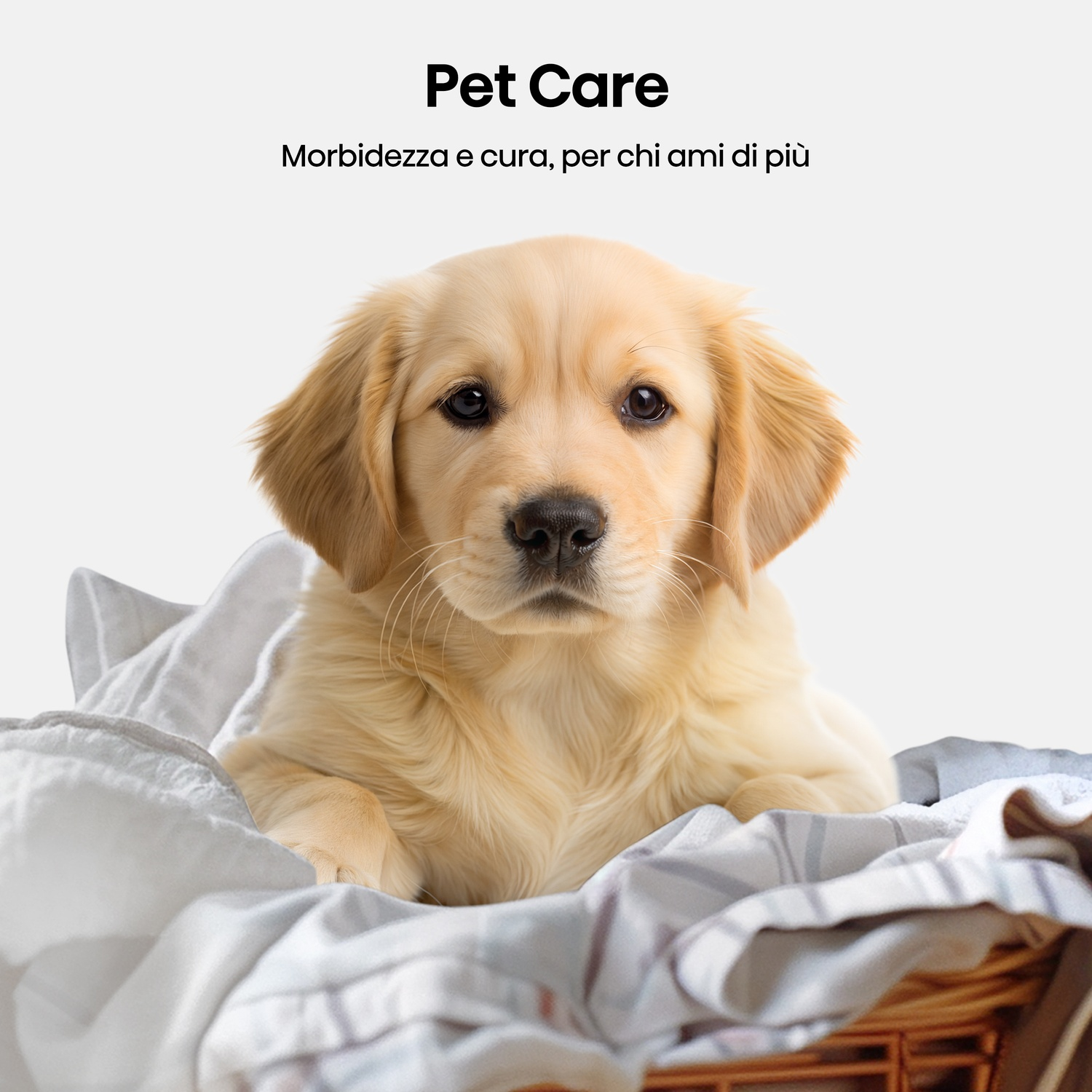 Un cucciolo di golden retriever giace in un cesto di asciugamani bianchi e grigi. Il testo 'Pet Care' e il testo italiano sono sopra il cane.