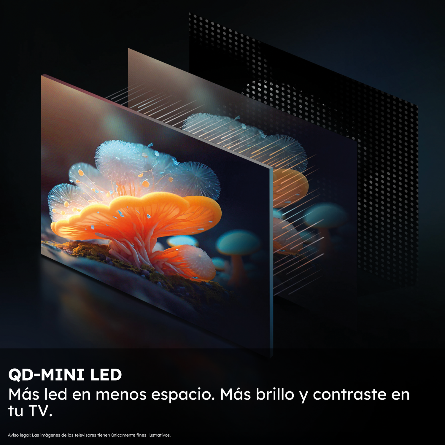 Pantalla con tecnología QD-Mini LED. Más leds en menos espacio para mayor brillo y contraste en tu TV.