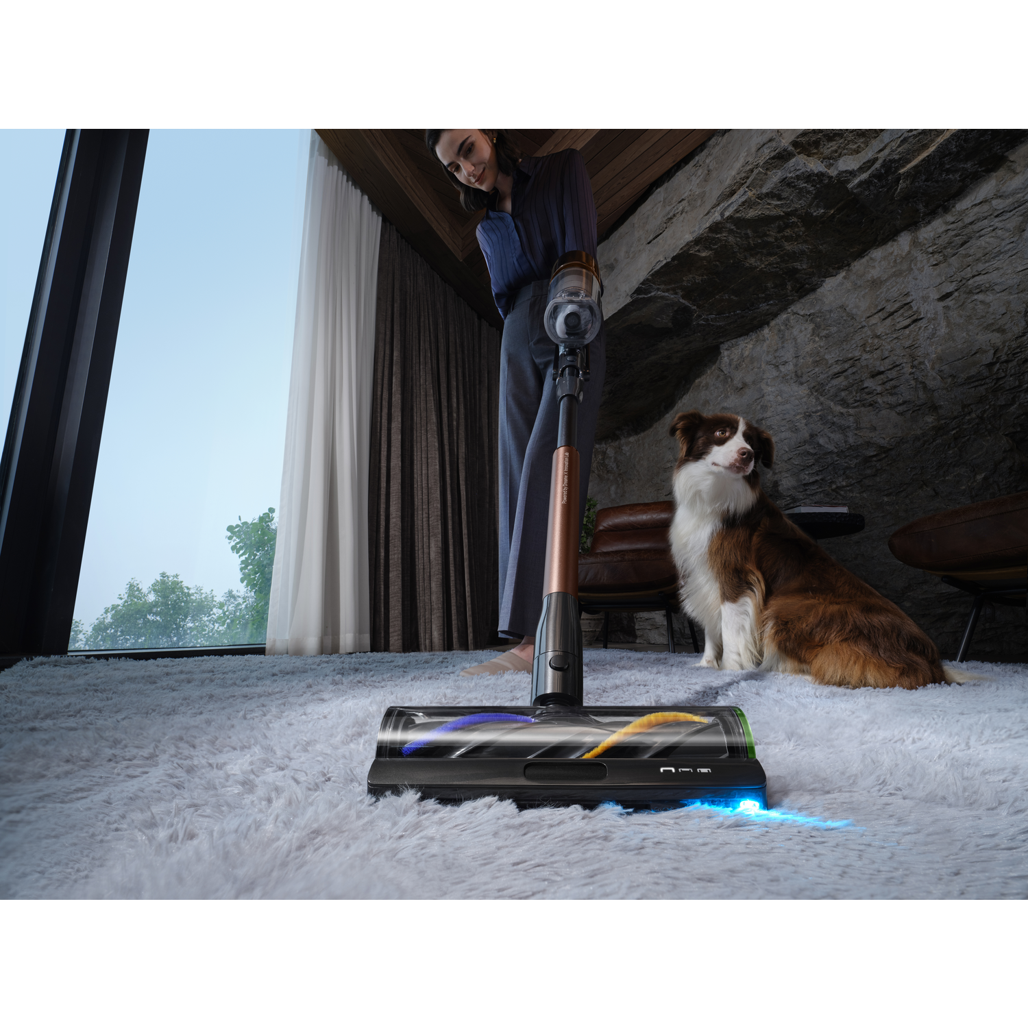 A woman vacuums a fluffy rug, a dog sits nearby. The vacuum is silver and copper. The dog is brown and white. Large window in the background.