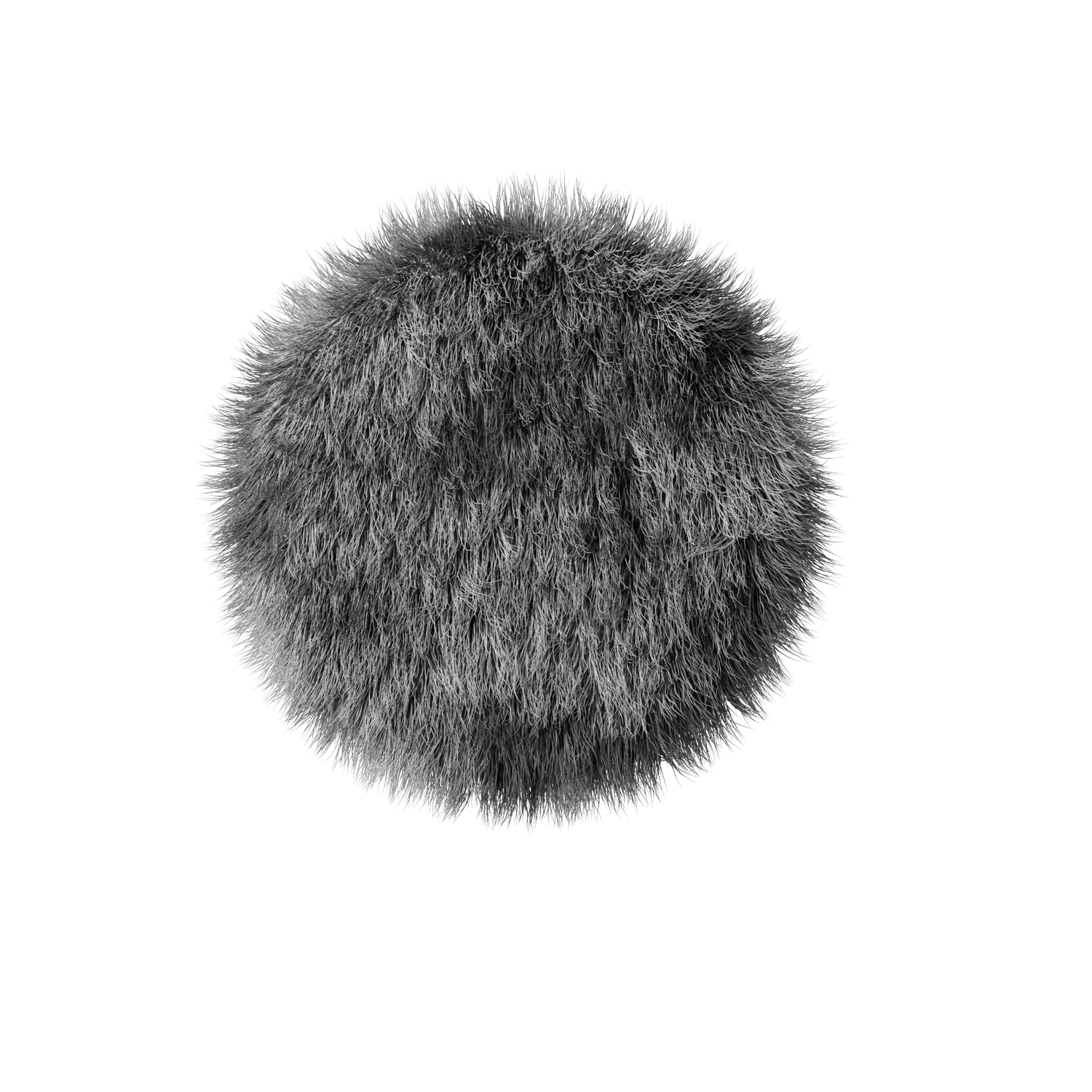 A grayscale image of a round, furry object. The object is centered on a black background. The fur is dense and textured.