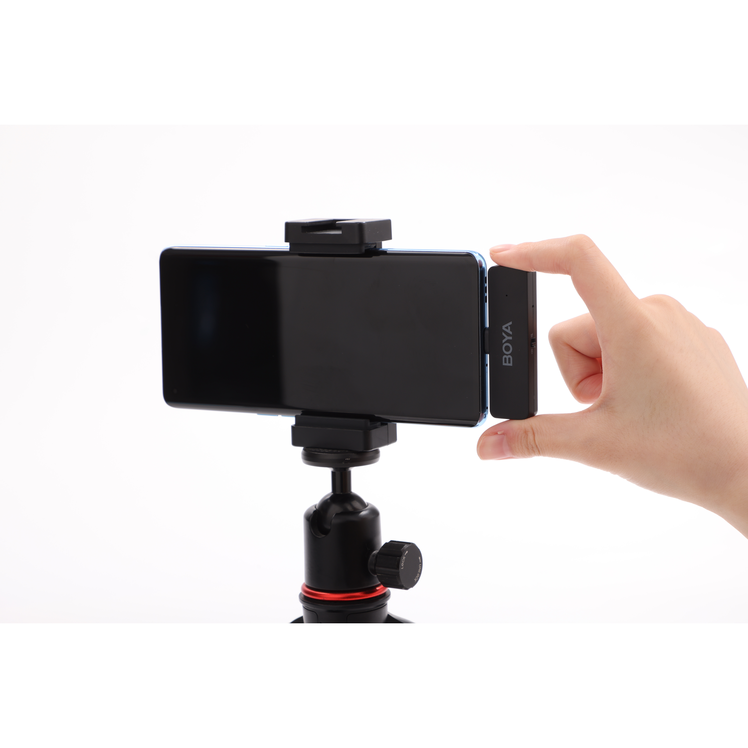 A hand holds a black BOYA microphone next to a phone mounted on a tripod. White background. The phone is black with a black holder.