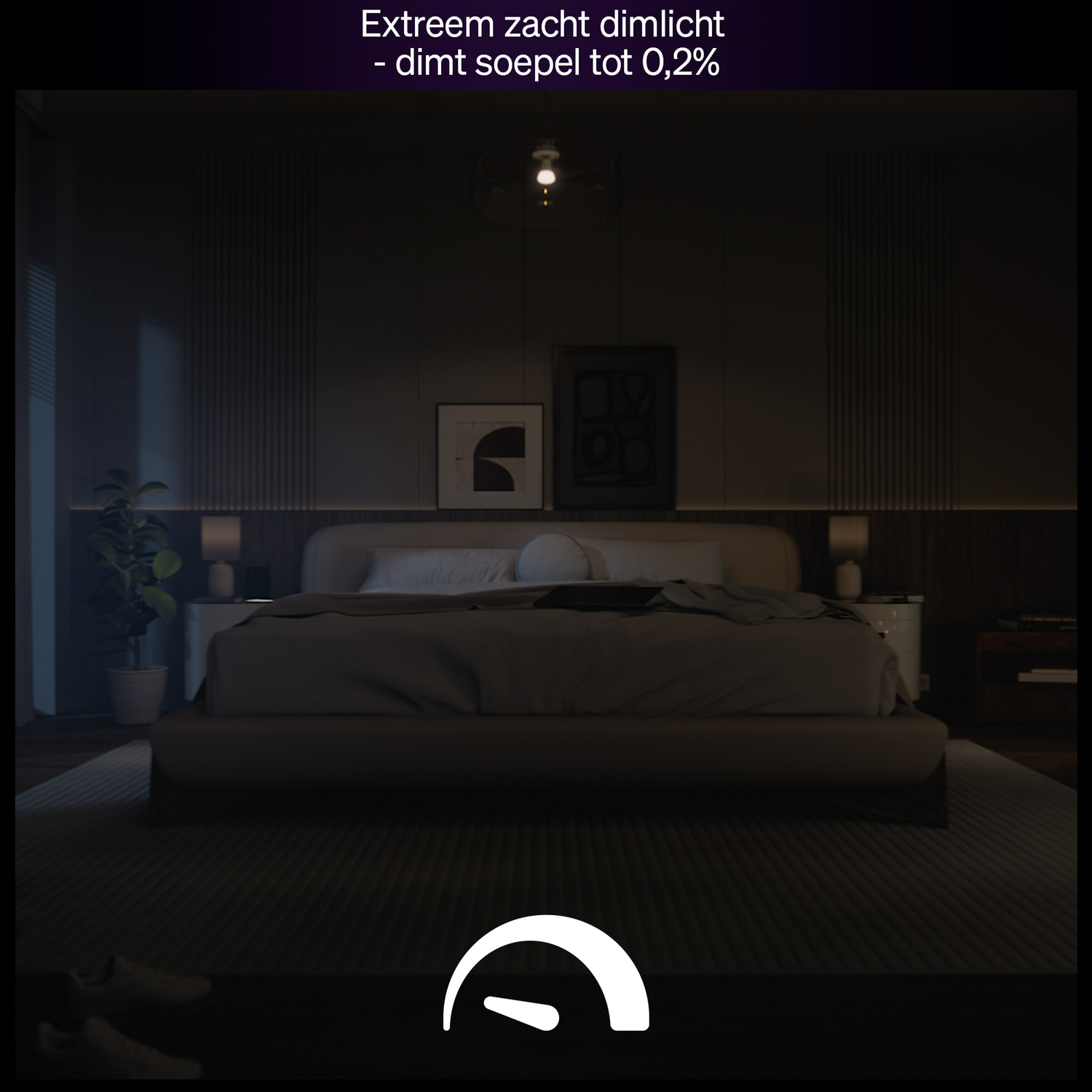 Une chambre faiblement éclairée avec un lit, deux tables de chevet, des tableaux et une plante. Un luminaire est suspendu au-dessus du lit. La pièce est sombre.