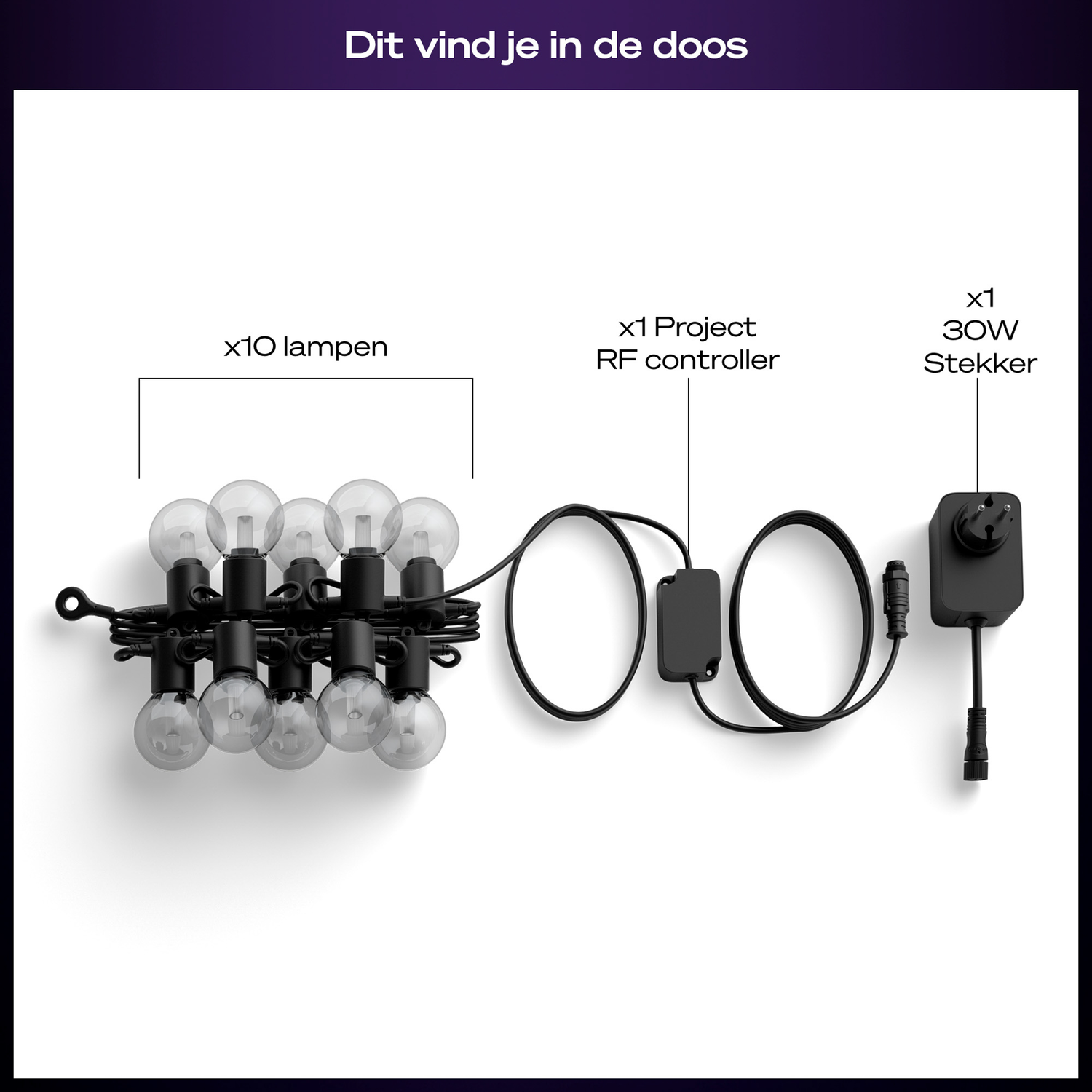 Image shows a string of ten clear bulbs with a black wire, a controller, and a plug. All on a white background.