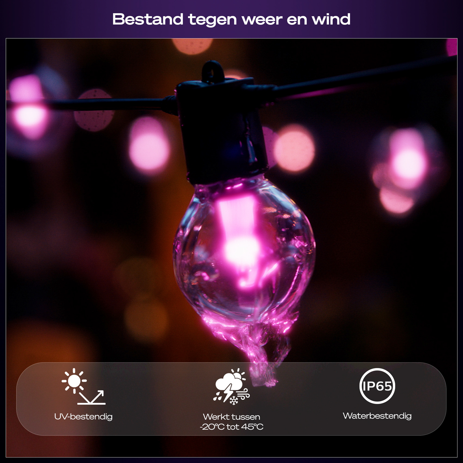 Een close-up van een roze gloeilamp van een lichtsnoer. De tekst onderaan zegt: UV-bestendig, -20C tot 45C en waterdicht.