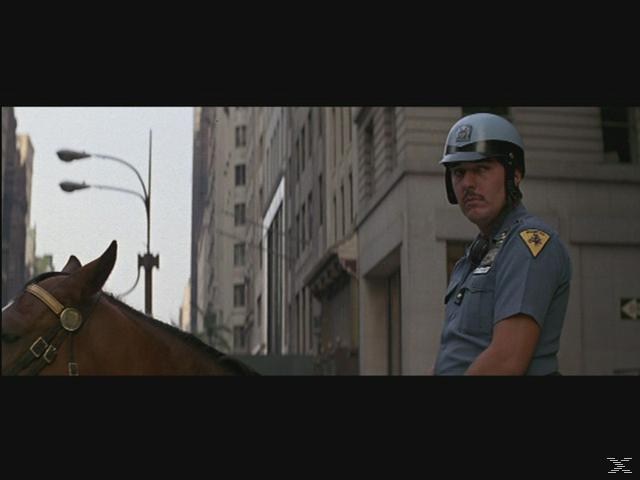 Ein Polizist auf einem Pferd in einer Stadtstraße, mit Helm und Uniform. Gebäude im Hintergrund.