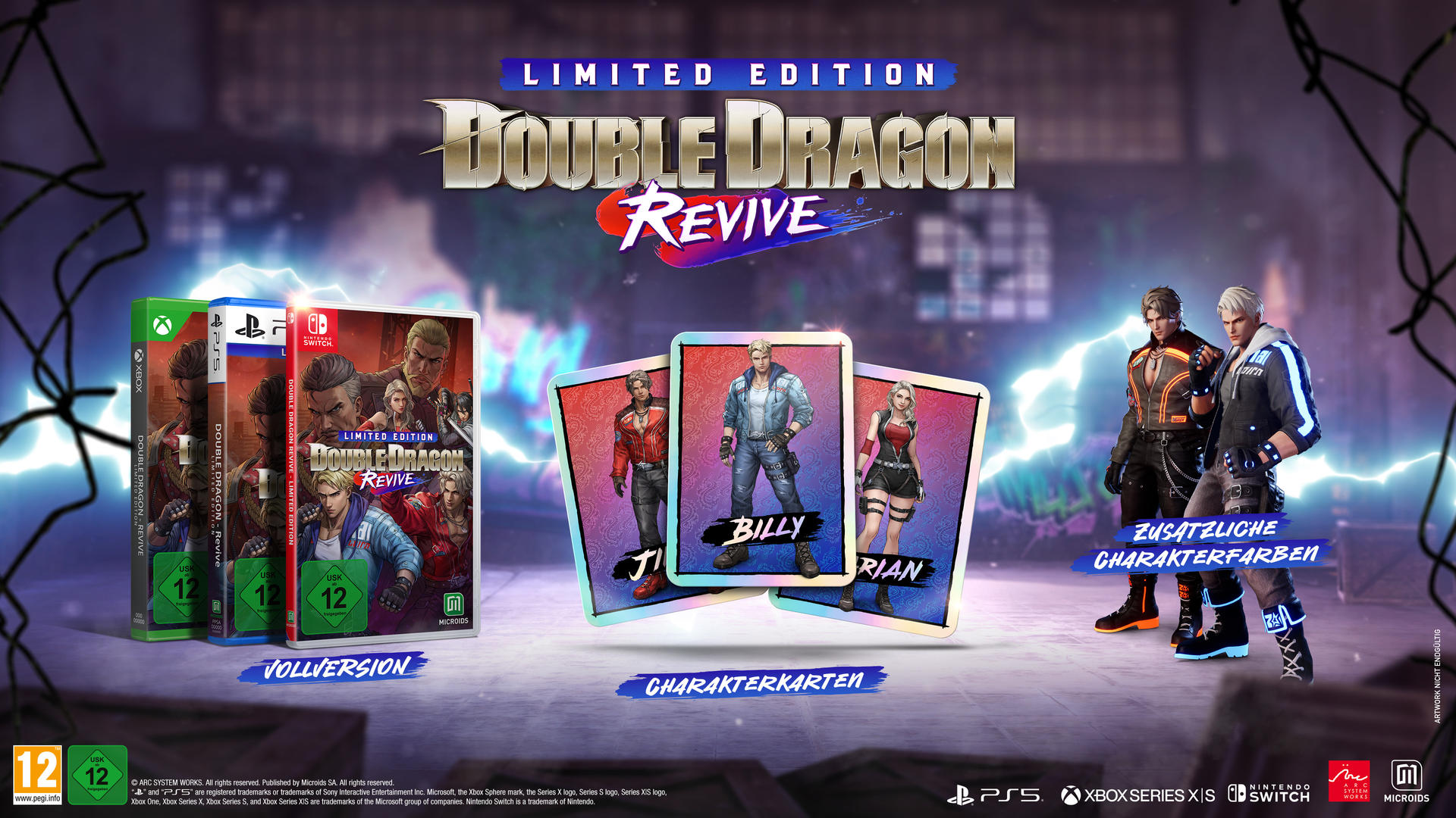 Spielcover mit Spielhüllen, Charakterkarten und Charakteren. Der Titel lautet "Double Dragon Revive".