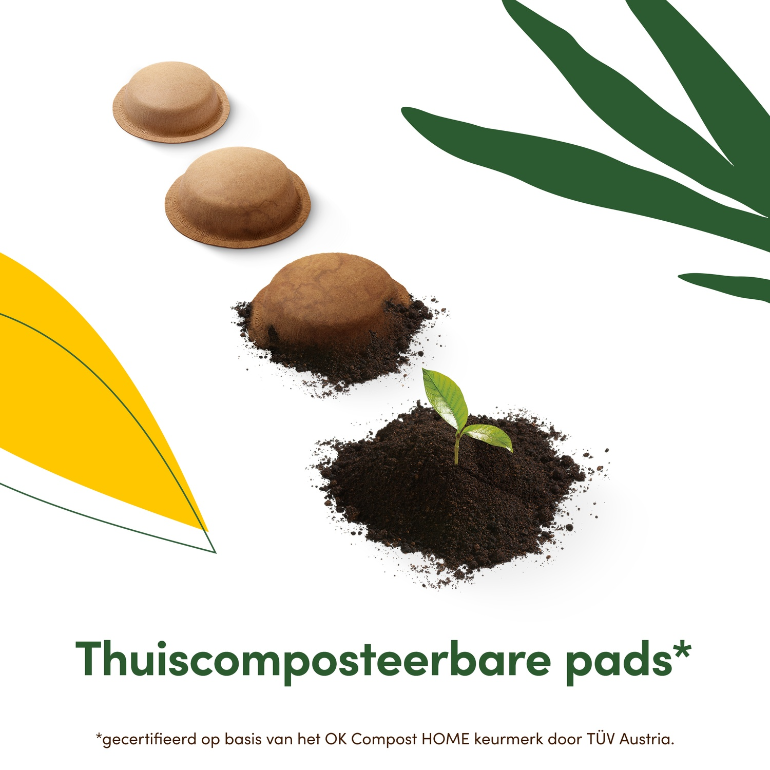 Three brown compostable pads, one breaking down into soil with a sprout. Green leaves and text on a white background.