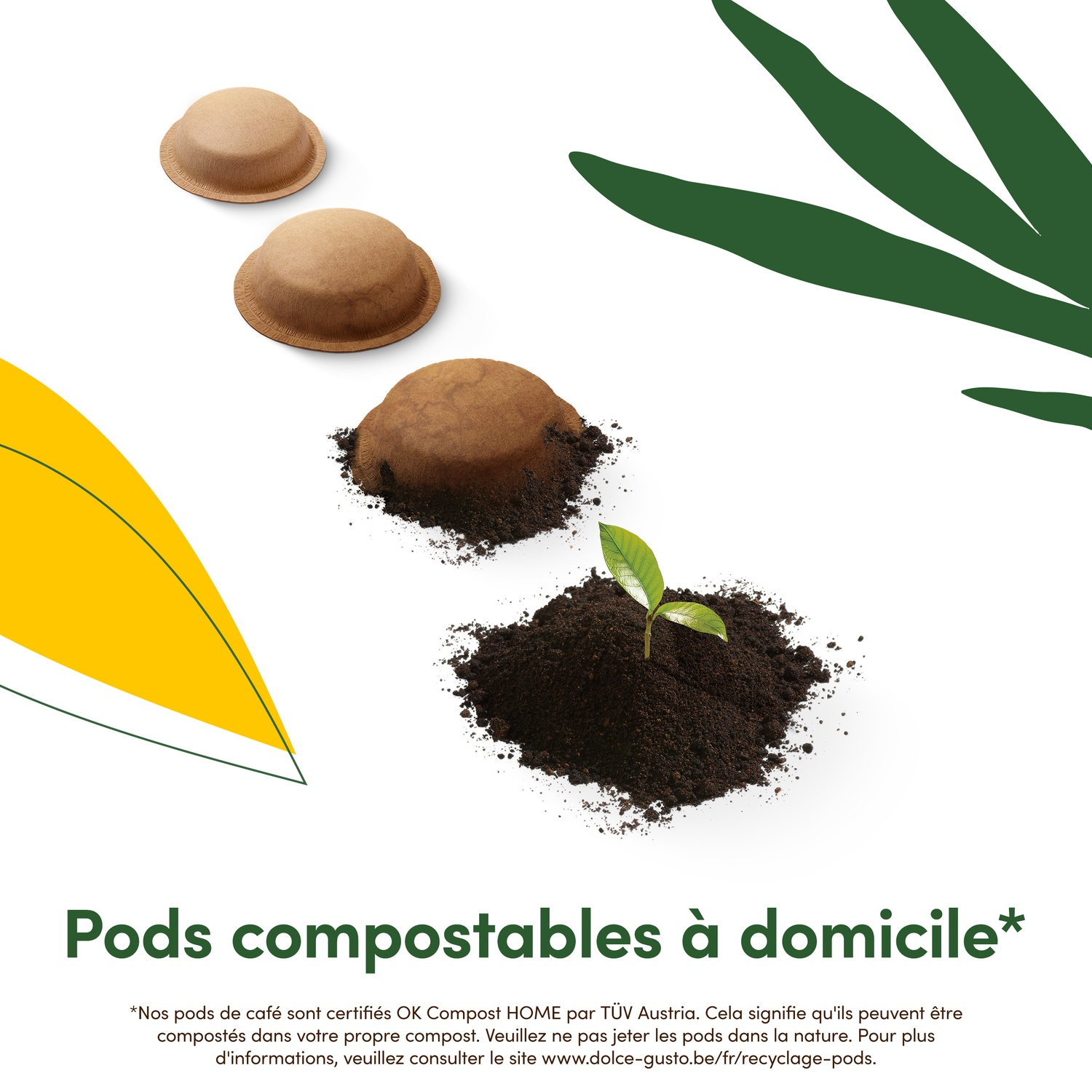 Three coffee pods, one broken open with soil and a sprout. Green leaves and yellow shapes against a white background. Text: Compostable pods.