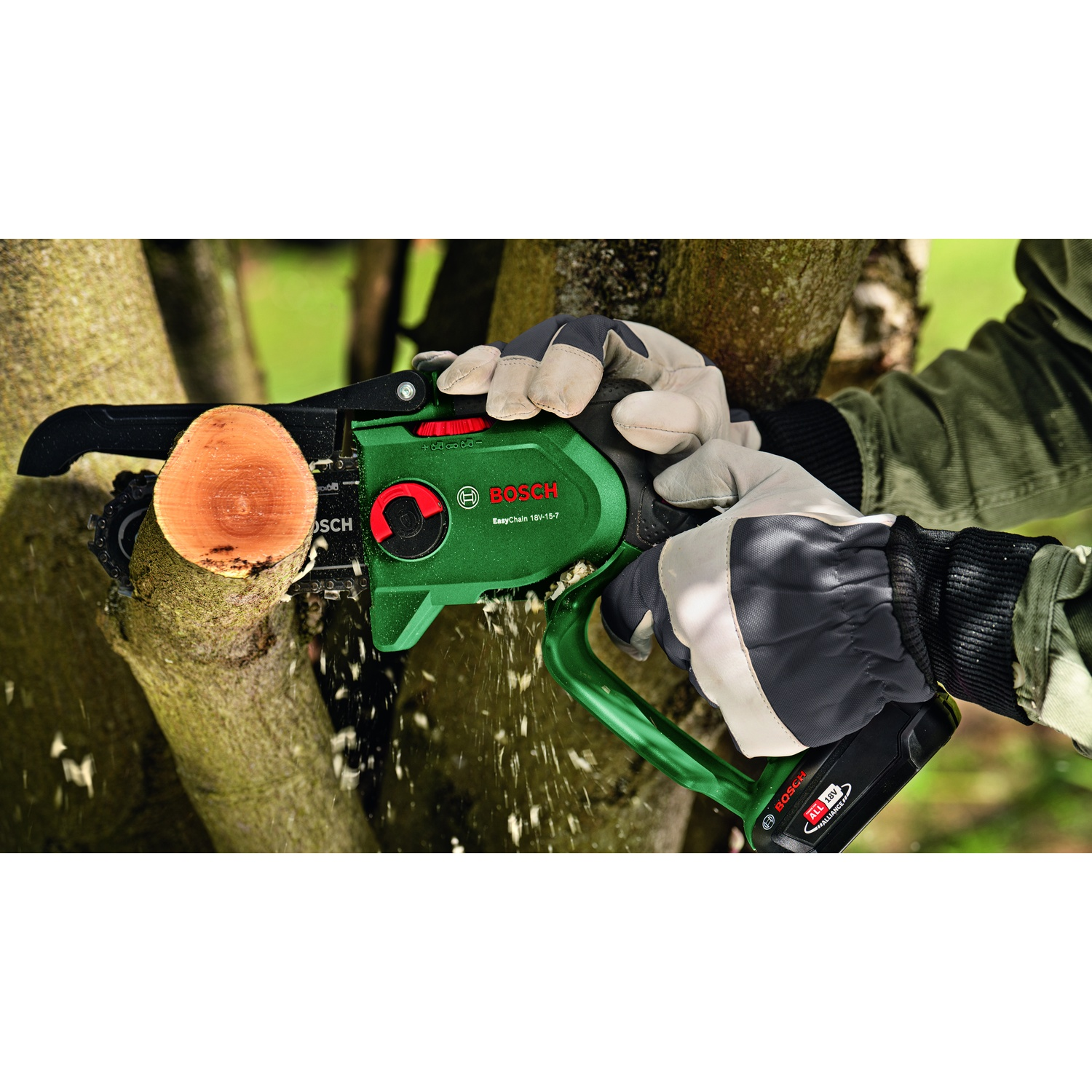 Una persona usa una motosega Bosch verde per tagliare un ramo d'albero. La segatura vola mentre la sega taglia il legno. La persona indossa i guanti.