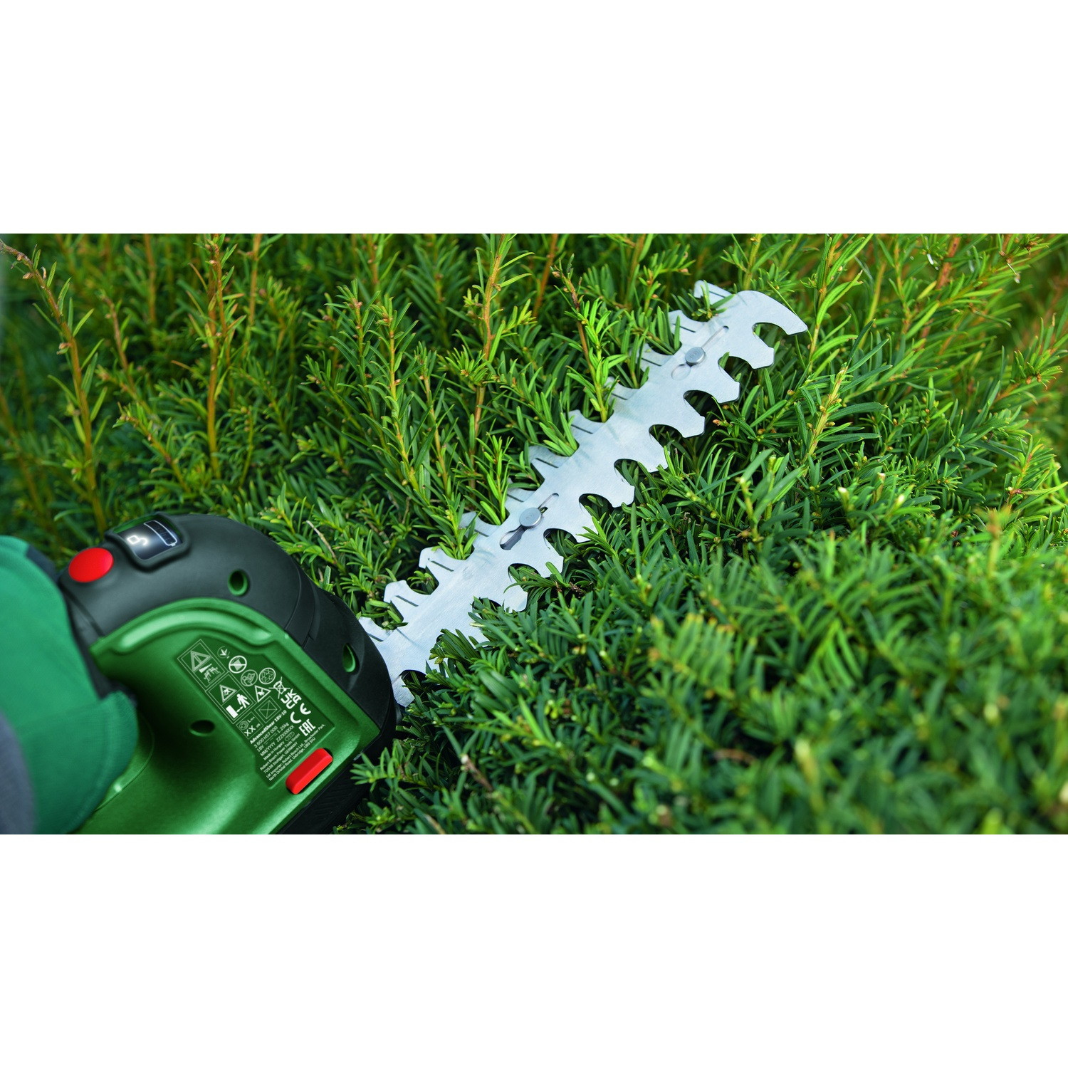 Un tagliasiepi sta tagliando una siepe verde. Il trimmer è nero e verde, con una lama argentata. Si vede una mano guantata.