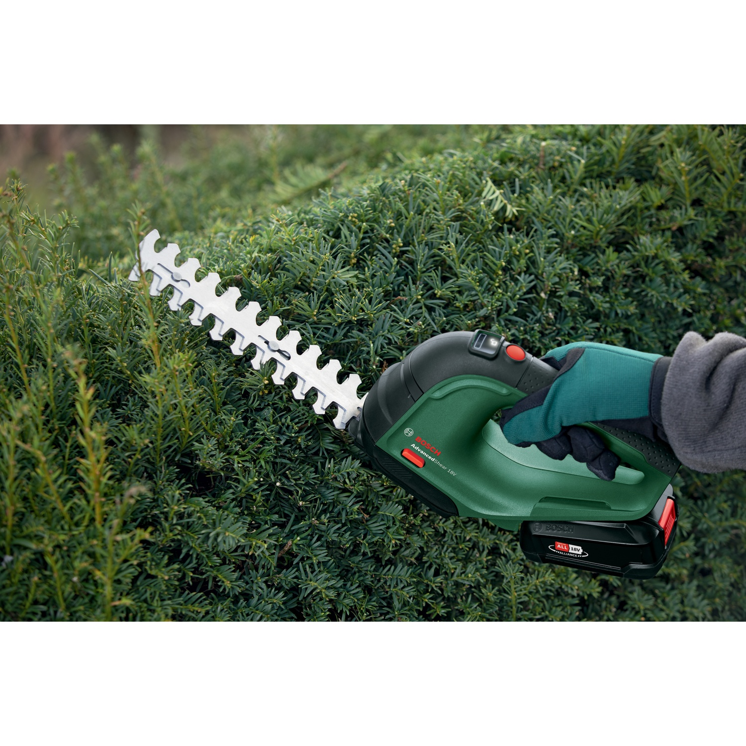 Una persona taglia una siepe verde con un tagliasiepi verde e nero. Indossano un guanto verde acqua. La lama del tagliasiepi è argentata.