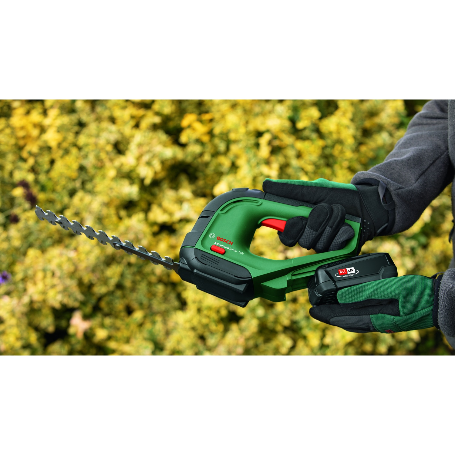Una persona tiene in mano un tagliasiepi Bosch verde con guanti neri contro uno sfondo sfocato verde e giallo di fogliame.