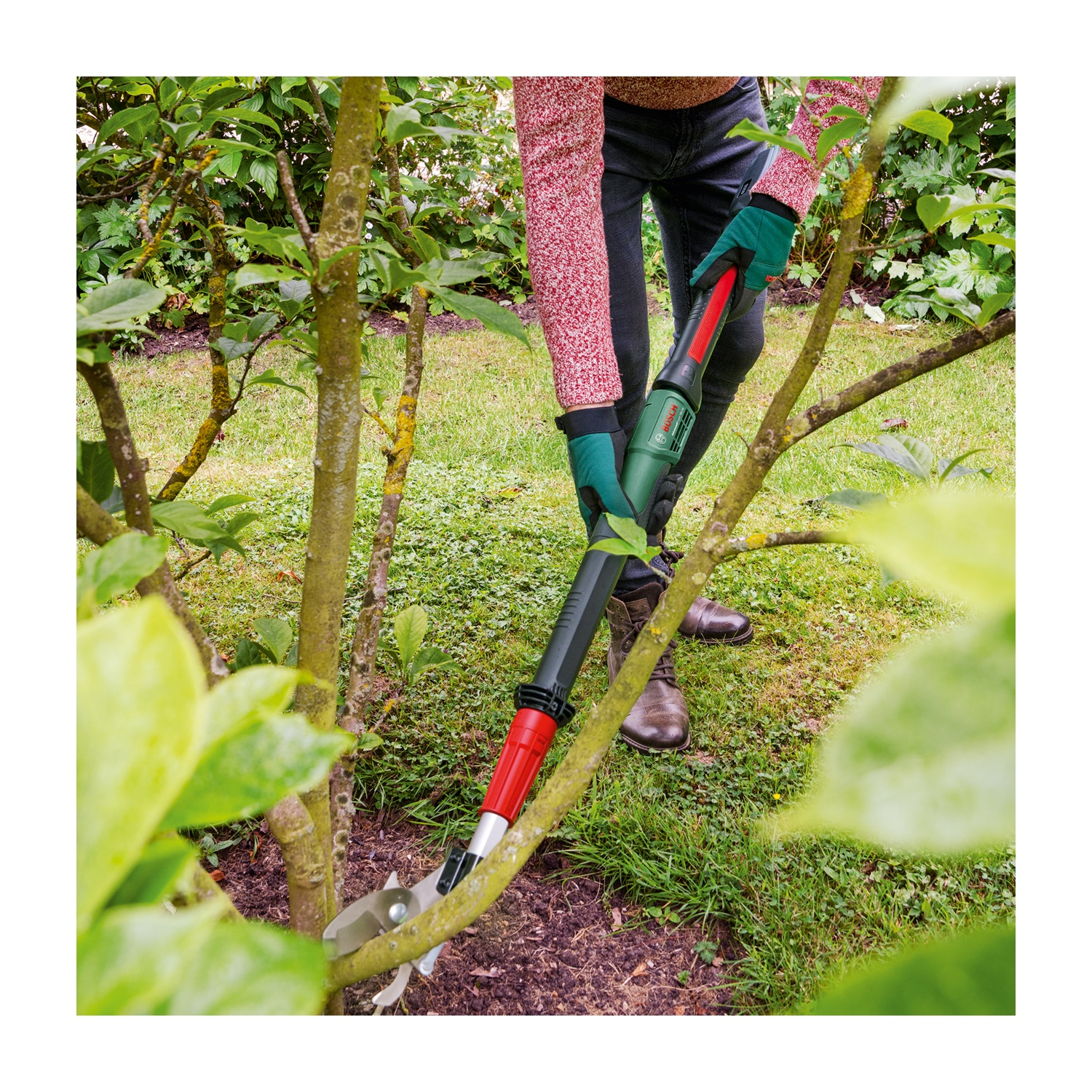 Una persona sta potando un albero con un potatore elettrico. Indossa guanti, jeans e un maglione rosso, circondato da fogliame verde.
