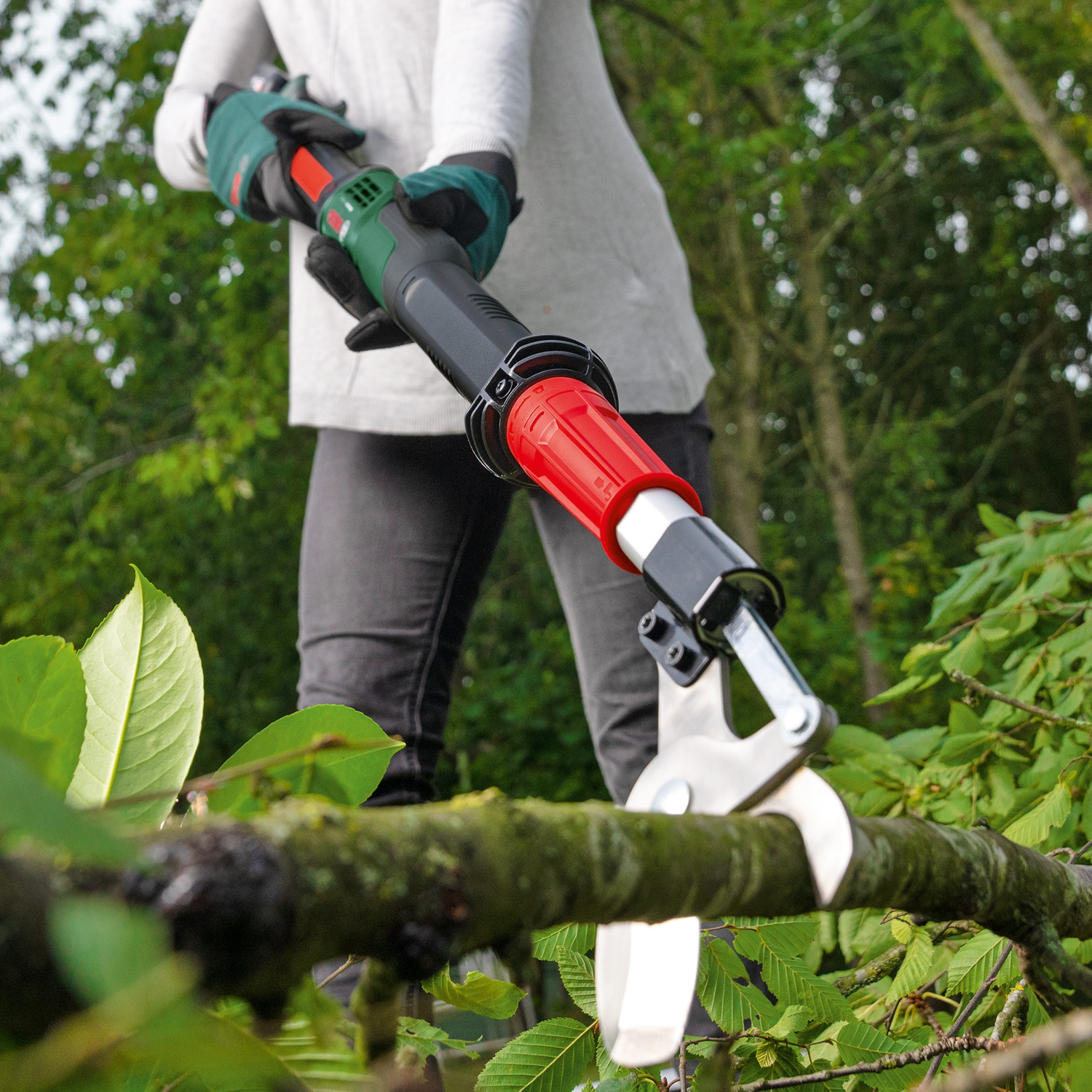 Una persona in abiti grigi e guanti usa una sega per potare per tagliare un ramo. Alberi verdi sullo sfondo sfocato.