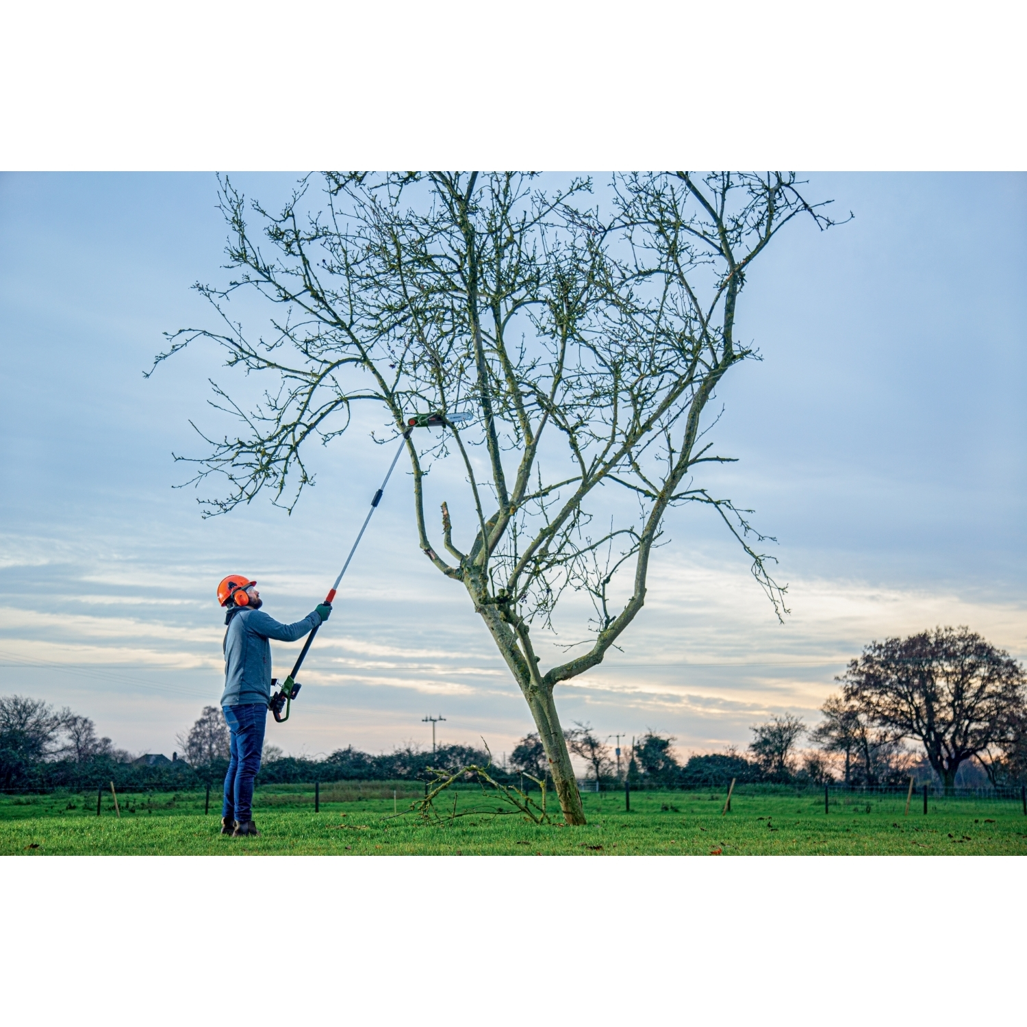 Una persona con equipaggiamento di sicurezza taglia un albero spoglio con una sega a pertica su un campo verde. Il cielo è nuvoloso con un tocco di colori del tramonto.