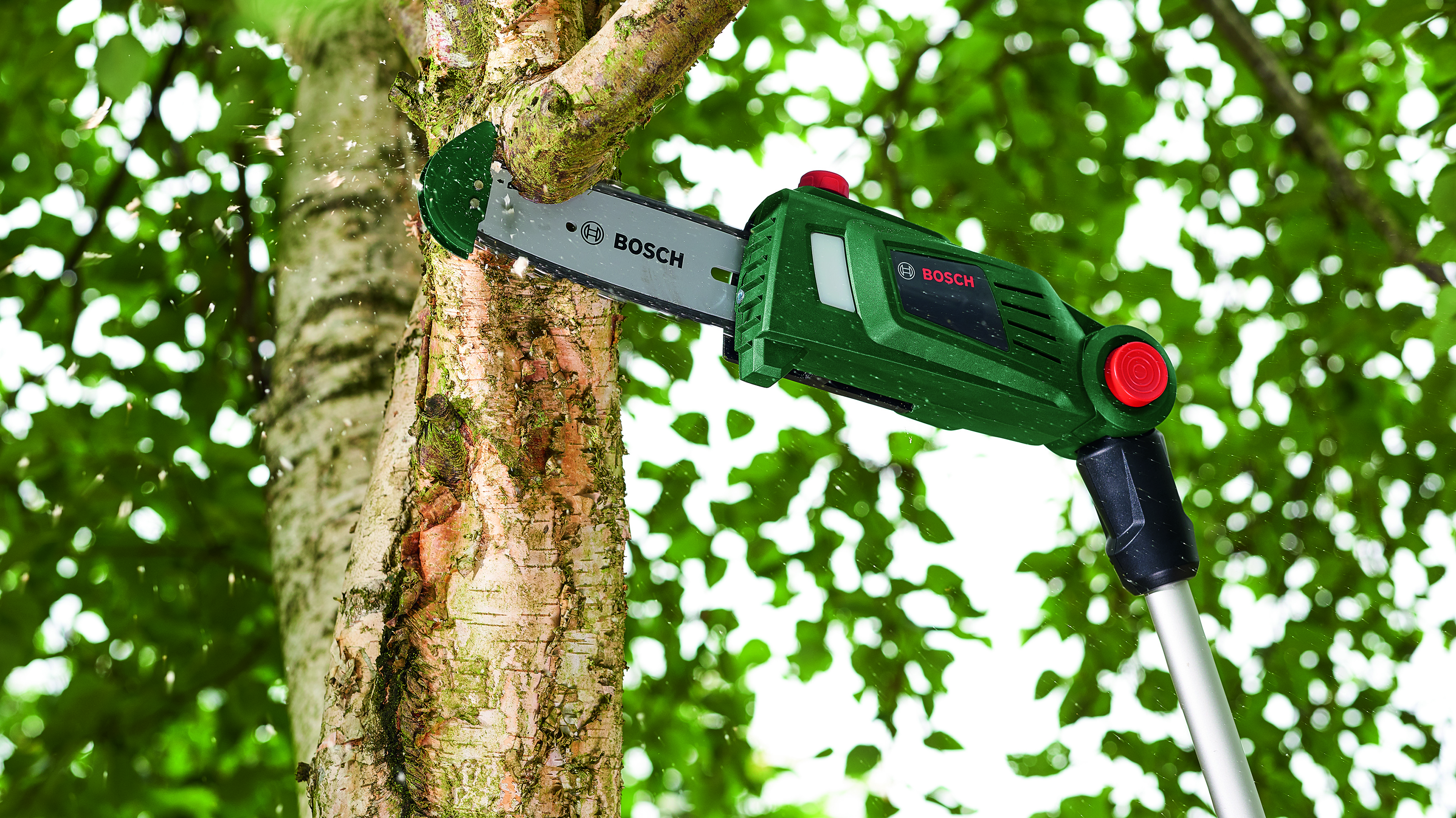 Una motosega Bosch verde taglia un ramo. Segatura vola. Fogliame verde sullo sfondo.