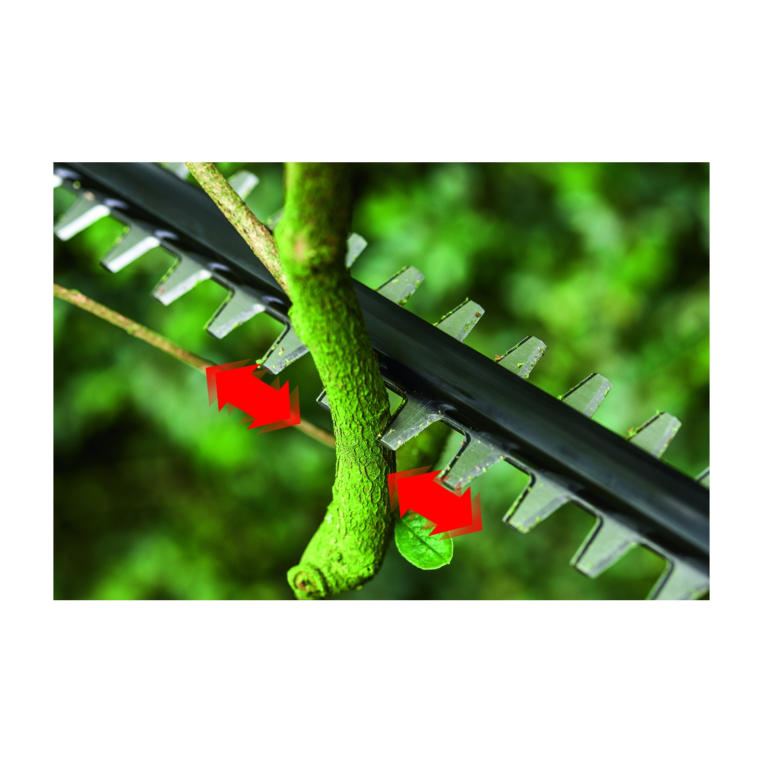 Un tagliasiepi taglia un ramo verde. Frecce rosse mostrano l'azione di taglio. Fogliame verde sullo sfondo.