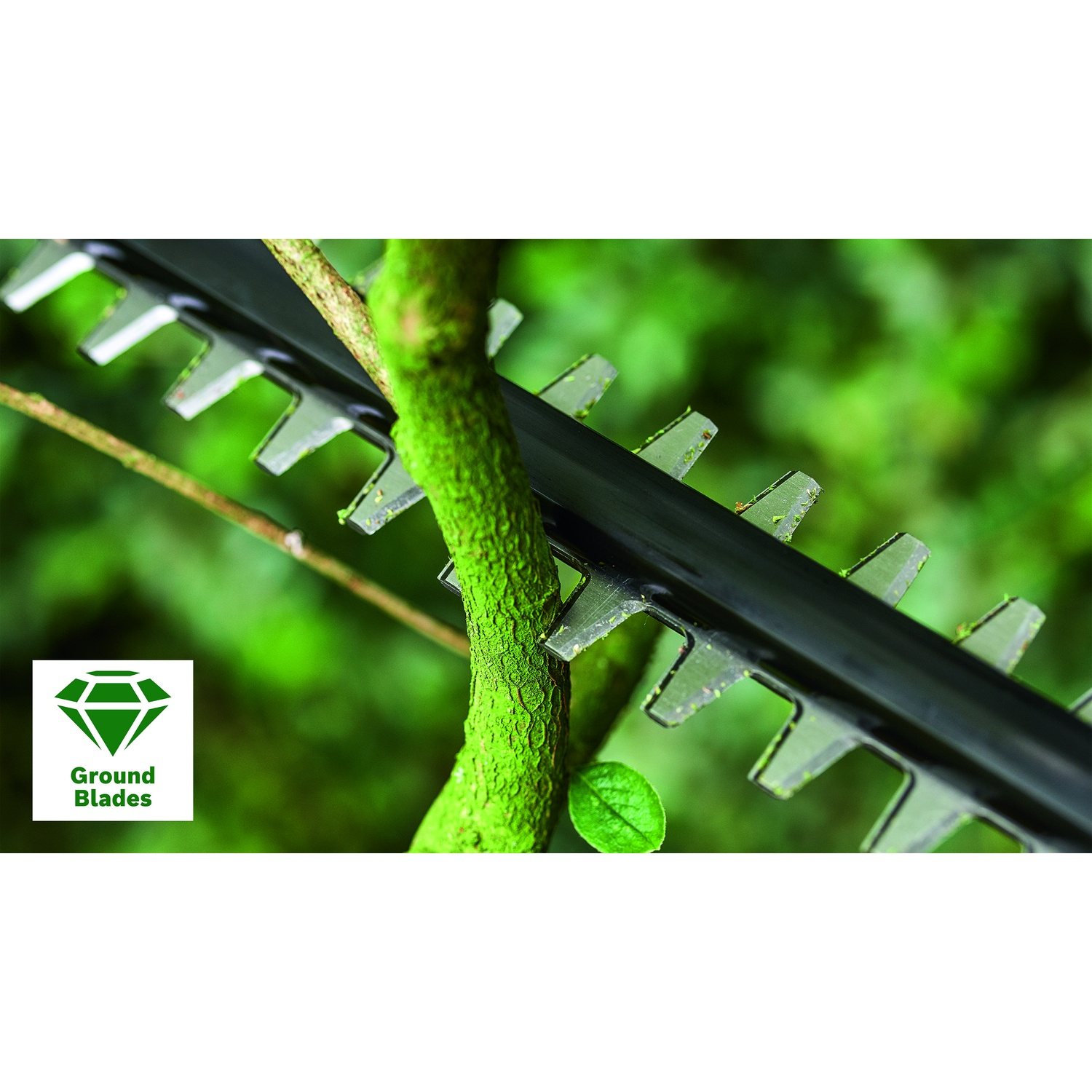 Primo piano di un tagliasiepi che taglia un ramo verde. Le lame sono nere, il ramo è verde. Sfondo verde.