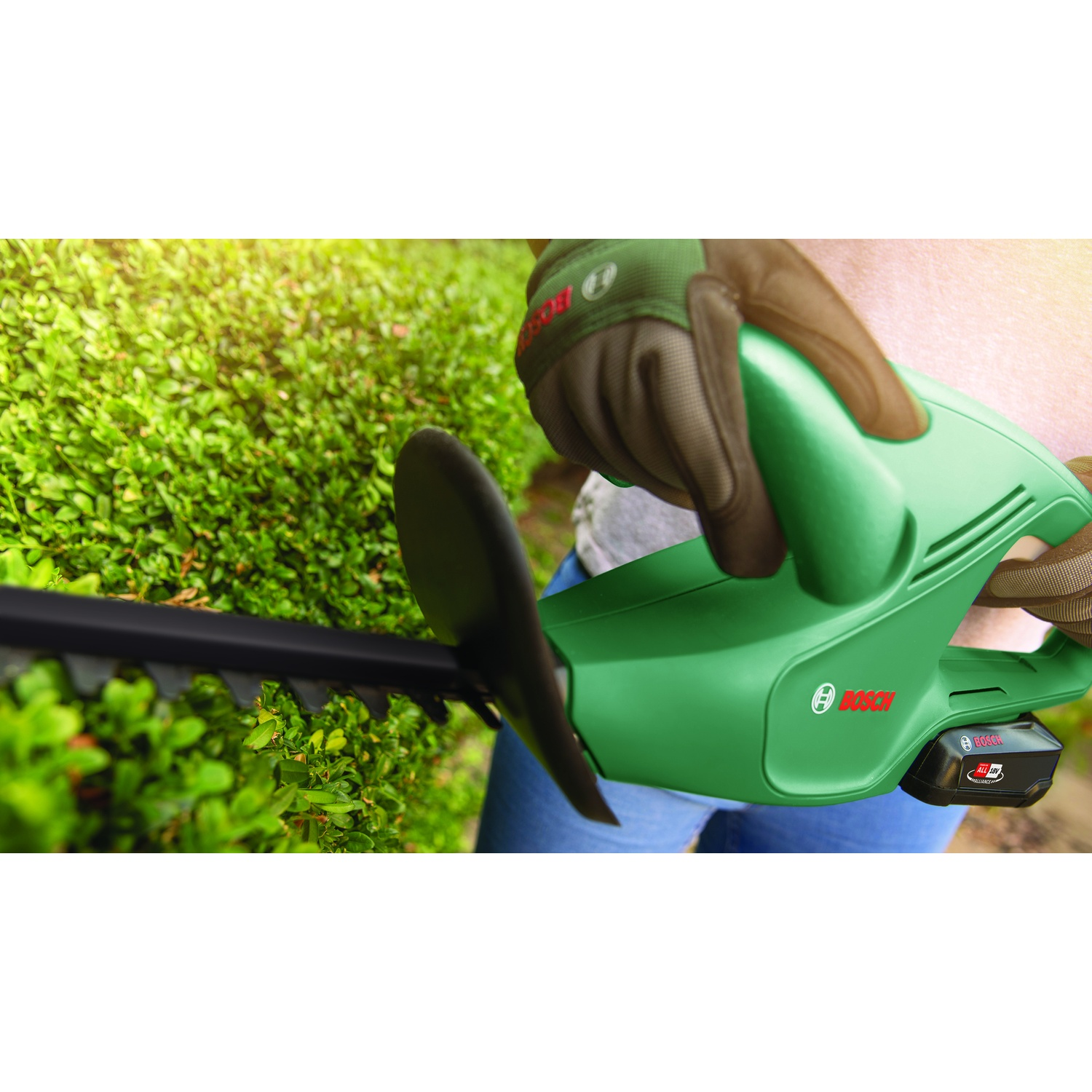 Una persona tiene in mano un tagliasiepi Bosch verde, tagliando una siepe verde. La persona indossa guanti. La luce del sole splende sulla scena.