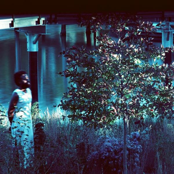 Eine Frau in einem blauen Kleid steht in der Nähe eines Baumes und Wassers. Der Hintergrund hat Metallstrukturen. Bewölkt, stimmungsvolle Beleuchtung.