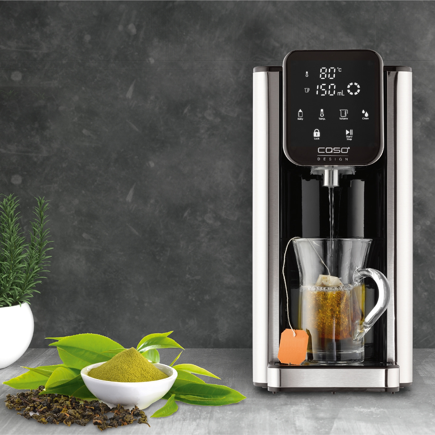 Zaparzacz do herbaty dozuje wodę do szklanego kubka z torebką herbaty. Liście herbaty, proszek i mała roślina leżą obok.