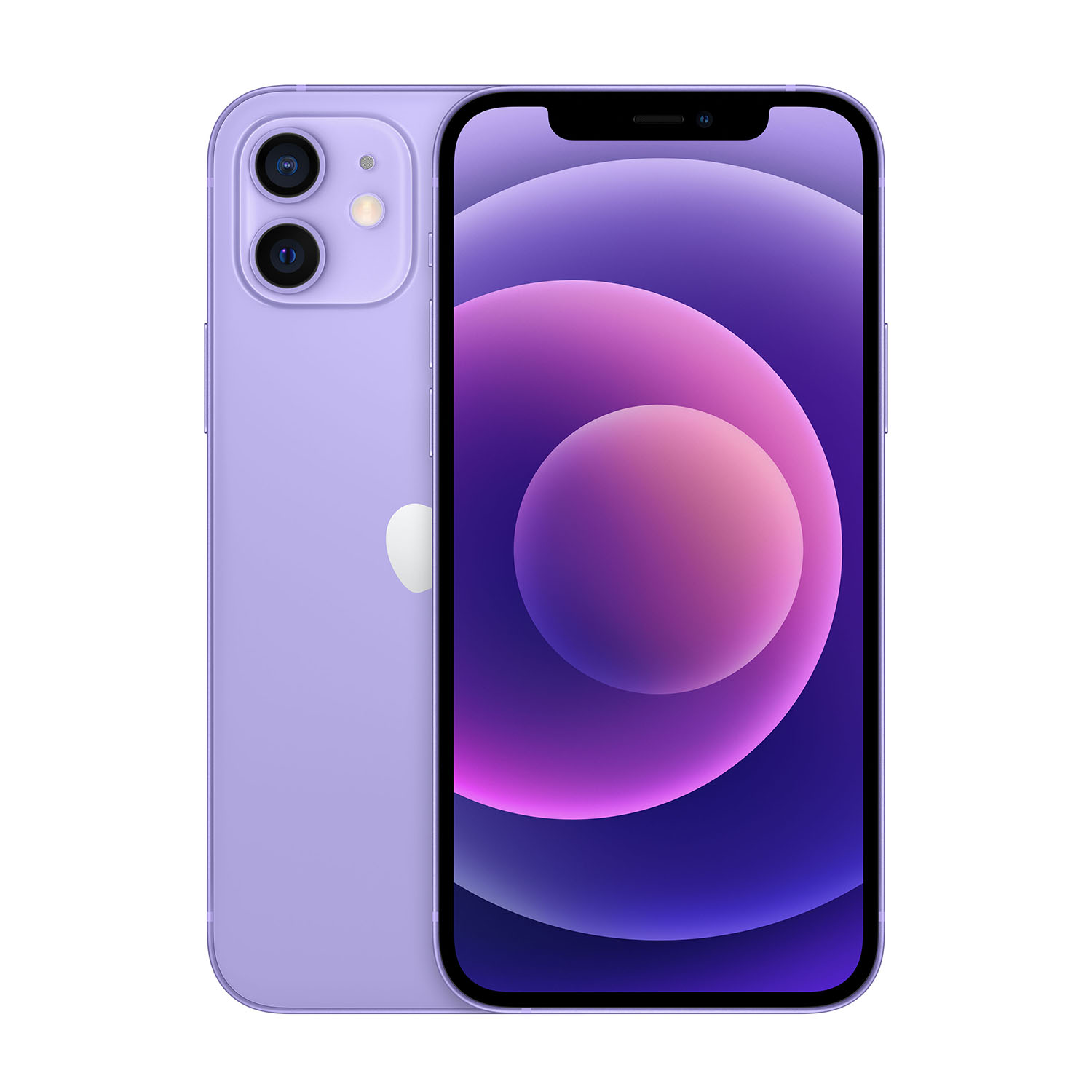 Viene visualizzato un iPhone 12 viola. Il telefono si trova su uno sfondo bianco. Lo schermo mostra una sfumatura viola e rosa.