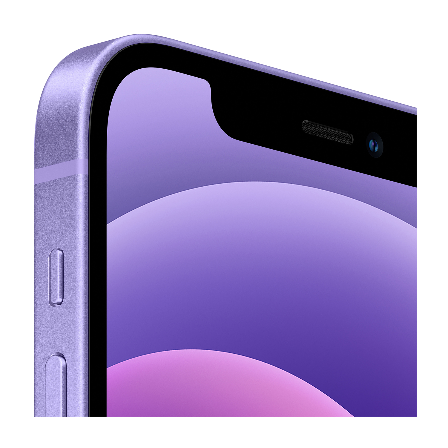 Primo piano di uno smartphone viola. Mostra lo schermo, il pulsante del volume e la fotocamera frontale. Lo sfondo è bianco.