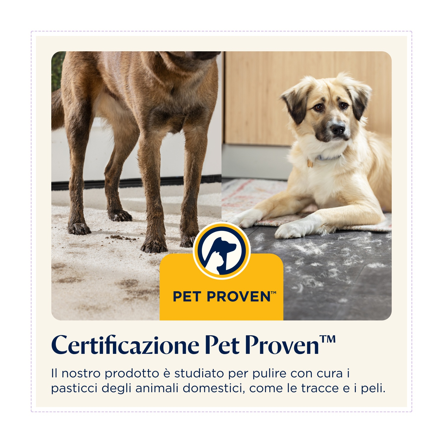 Due cani, uno in piedi, uno sdraiato. Il logo Pet Proven è al centro. Il testo sottostante dice 'Certificazione Pet Proven'.