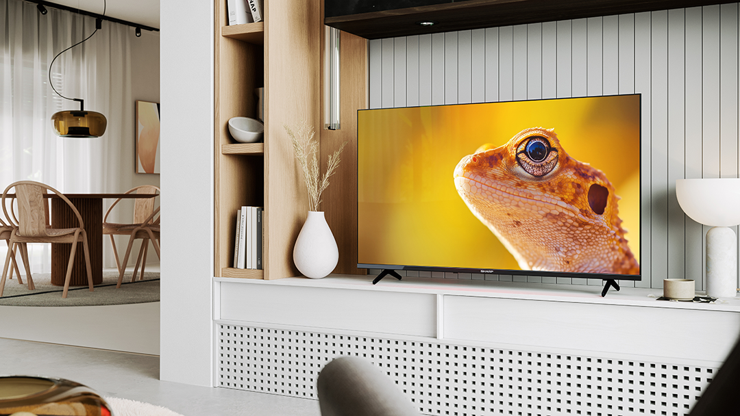 Nappali, tévével, ami egy gyíkot mutat. Fa bútorok, fehér falak és étkező láthatók a háttérben.