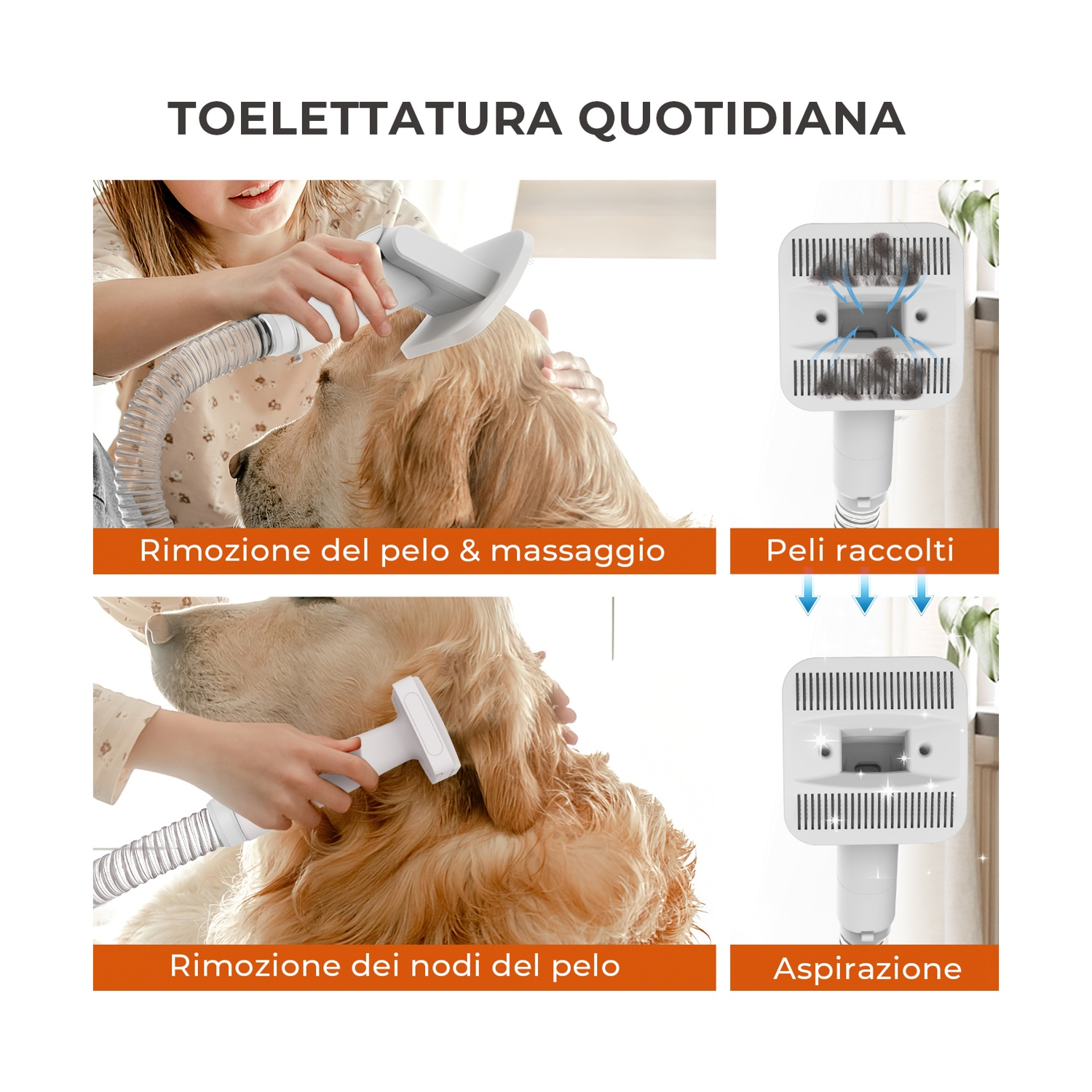 L'immagine mostra un cane toelettato con uno strumento. Sezioni dettagliate sulla rimozione dei peli, il massaggio, i peli raccolti e l'aspirazione. Testo in italiano.