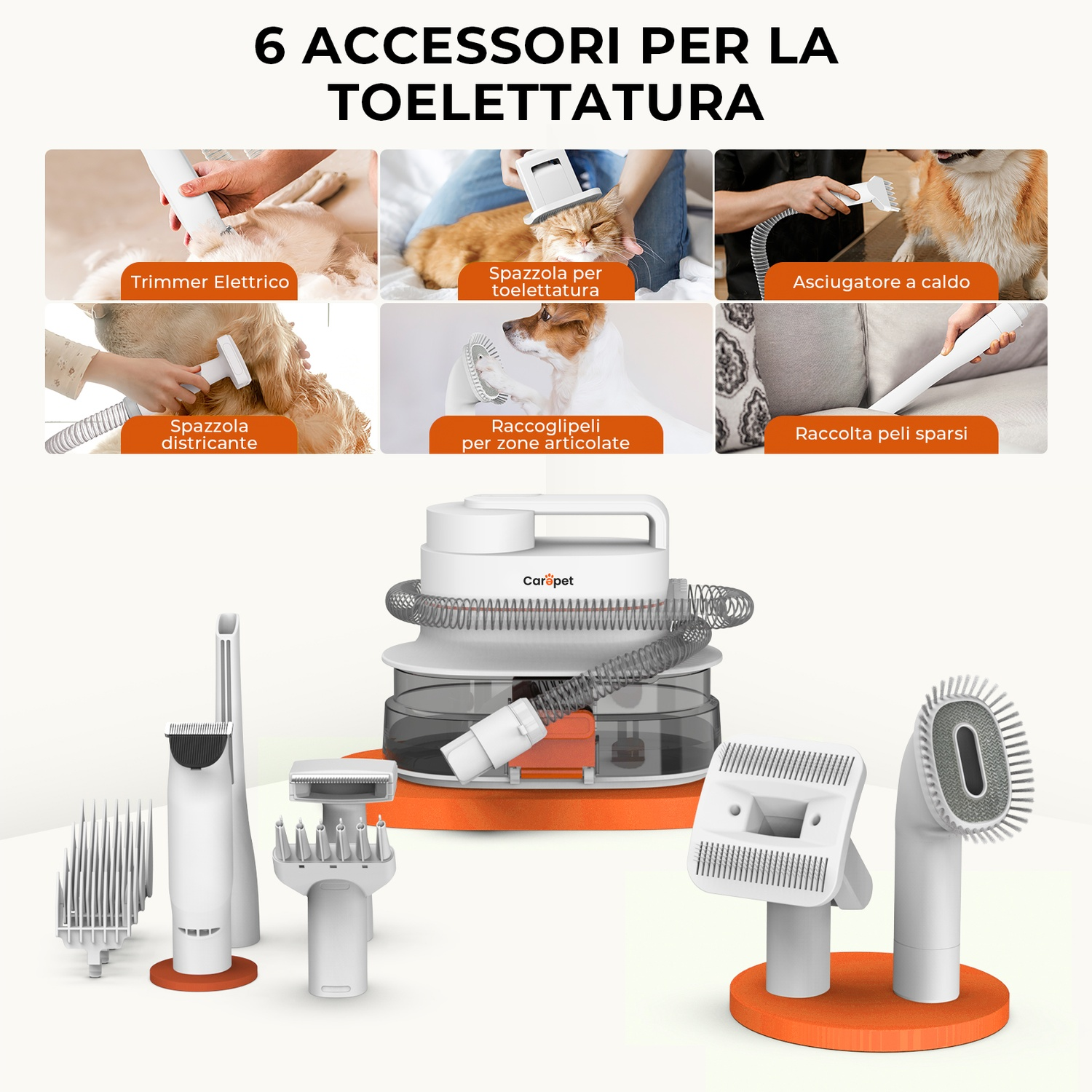 L'immagine mostra sei accessori per la toelettatura degli animali domestici e i loro usi. C'è un'unità principale con diversi accessori.
