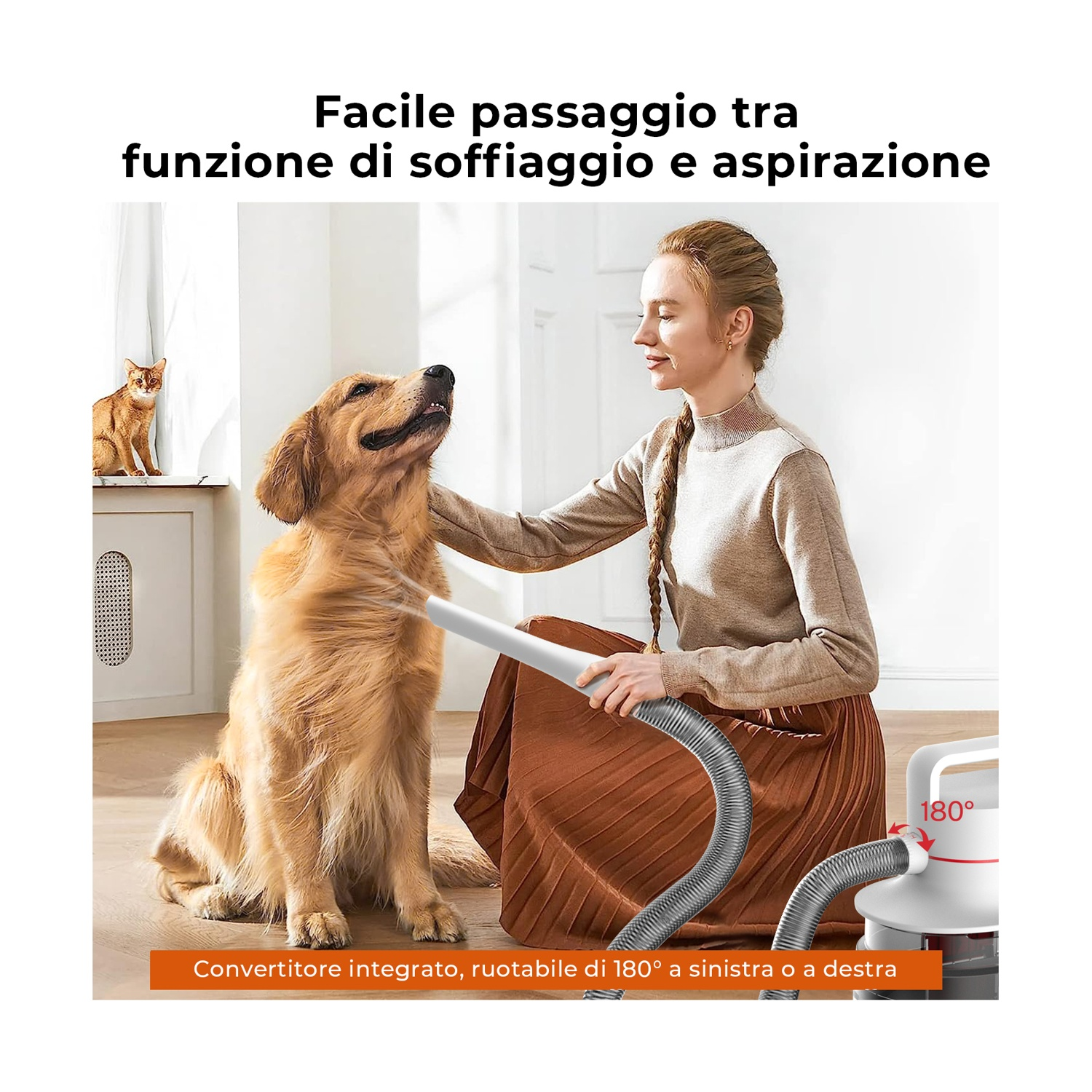 Donna che usa un asciugacapelli per animali su un golden retriever. Un gatto è seduto sul davanzale. Testo: Facile passaggio tra soffiaggio e aspirazione.