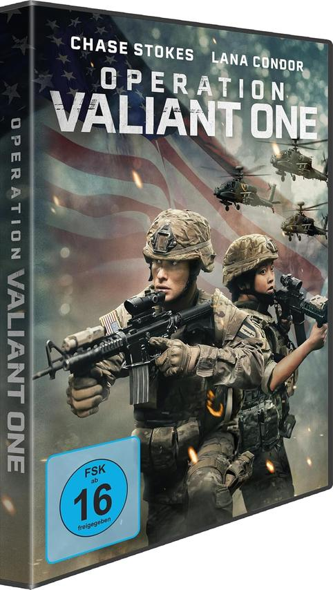 Zwei Soldaten mit Waffen vor einer US-Flagge; Hubschrauber im Hintergrund.