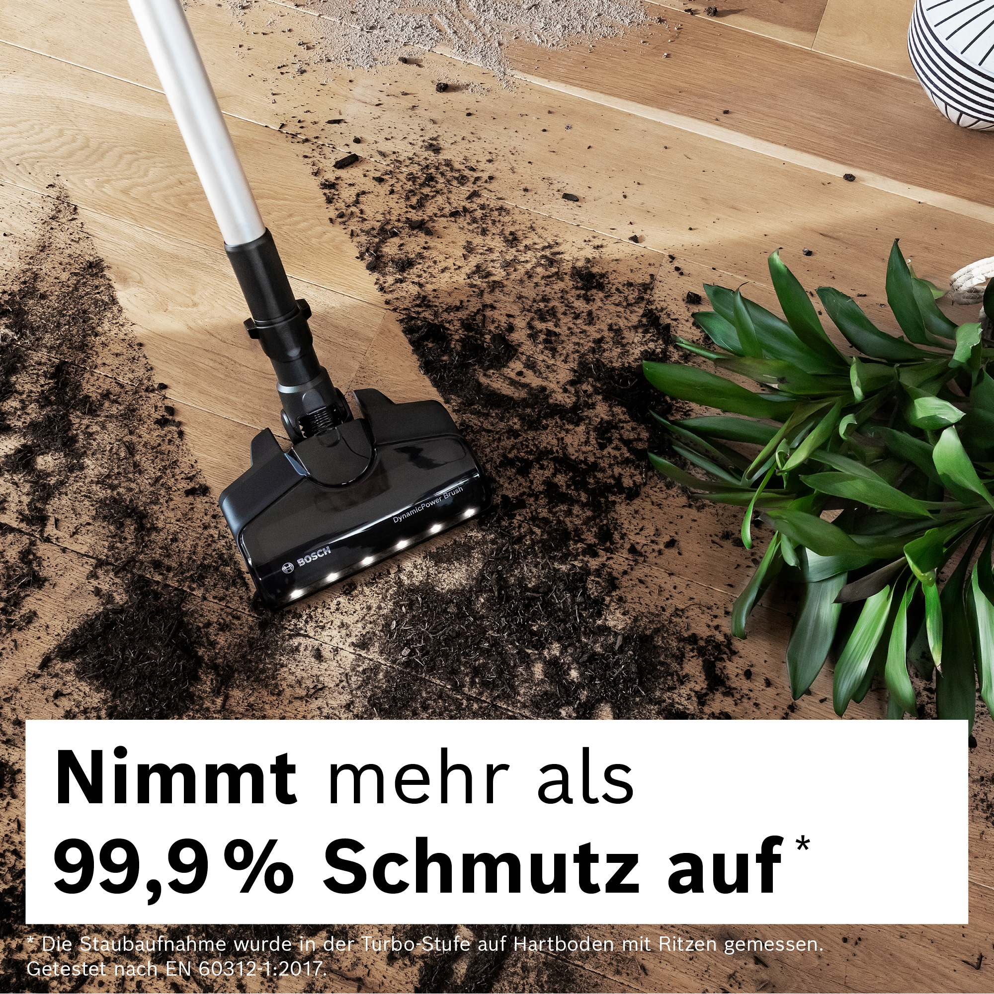 Ein schwarzer Bosch-Staubsauger reinigt Schmutz auf einem Holzboden. Eine Pflanze und ein dekorativer Gegenstand sind im Hintergrund.
