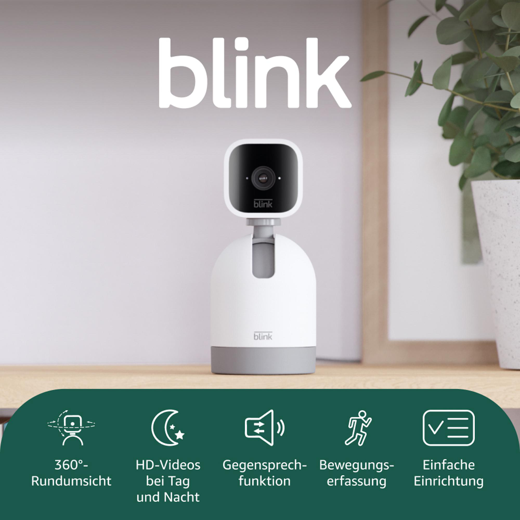 Eine weiße und schwarze Blink-Kamera mit Funktionssymbolen darunter. Das Wort Blink steht über der Kamera. Im Hintergrund ist eine Pflanze.
