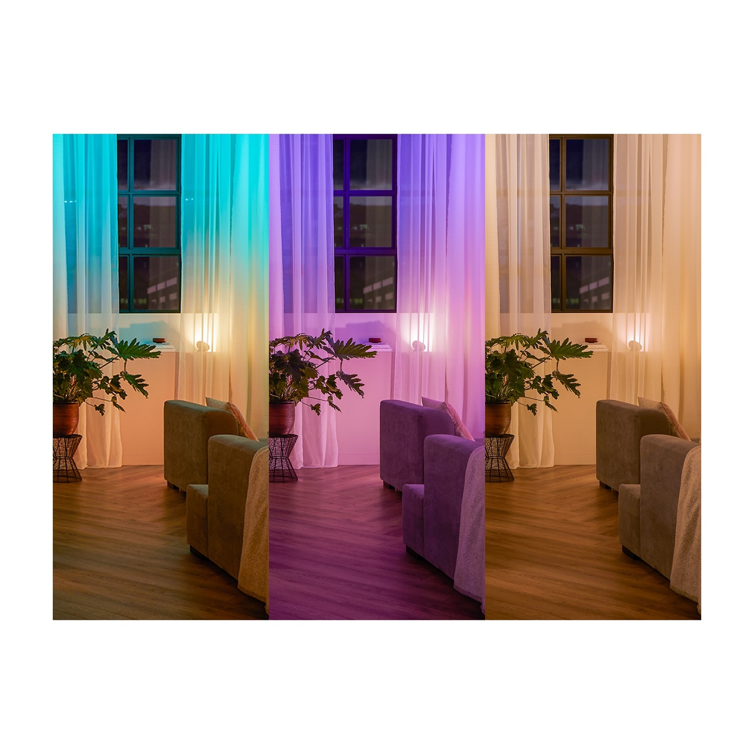 Stanza con tre sezioni, ognuna illuminata con luci di colori diversi: blu, viola e giallo. Finestre, tende, piante e divani sono visibili.