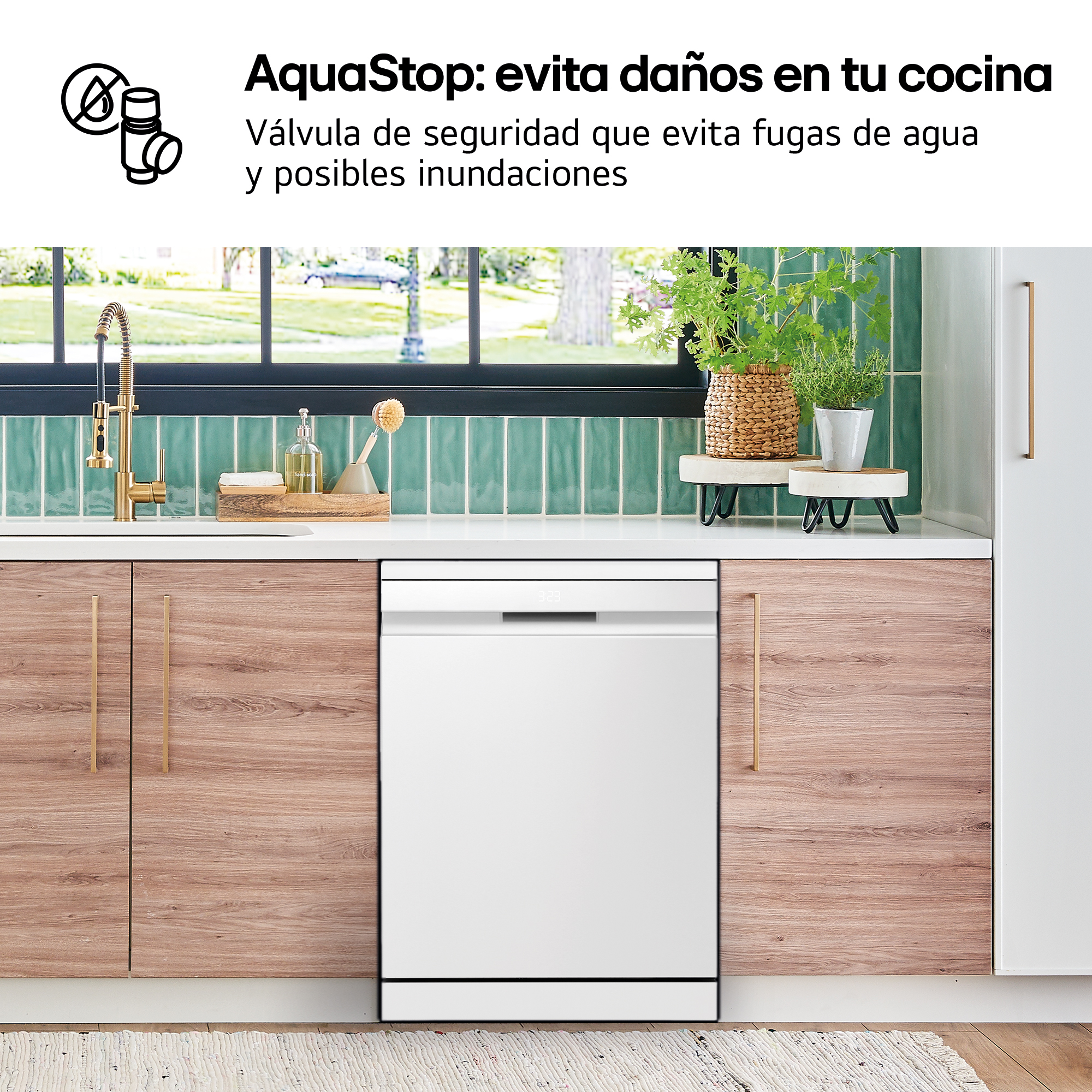 Una escena de cocina con un lavavajillas blanco. Los gabinetes son de grano de madera. Las plantas están en la encimera y una ventana en el fondo.