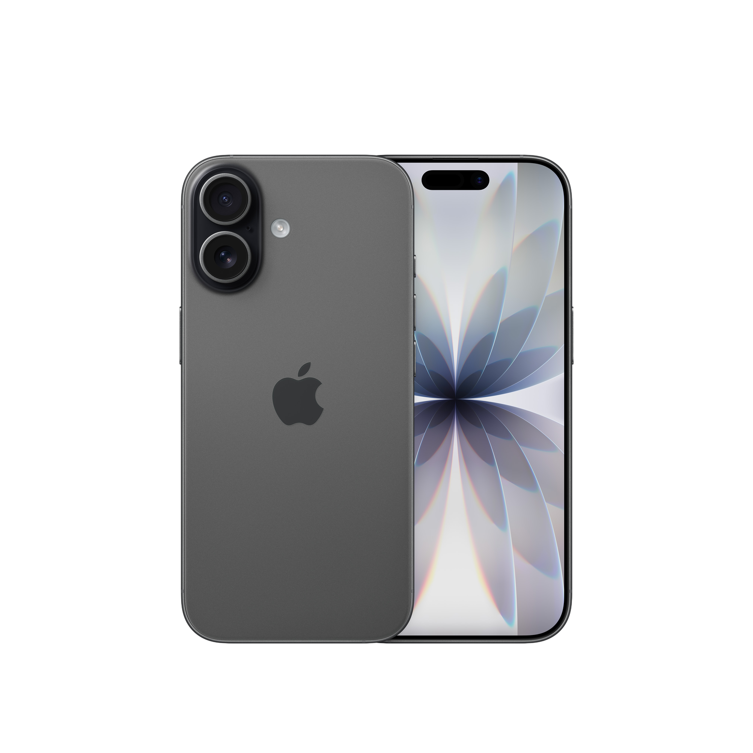 Zwei graue iPhones, eines zeigt die Rückseite mit Apple-Logo und Kameras, das andere zeigt ein weißes Blumengemälde, auf schwarzem Hintergrund.