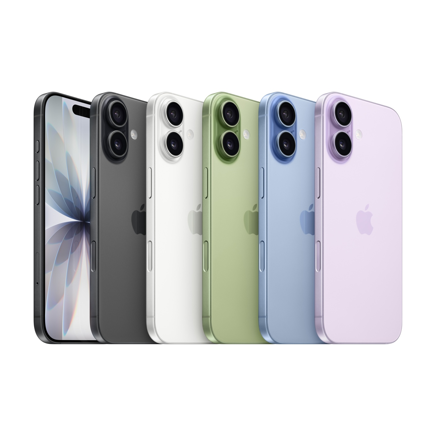 Sei iPhone Apple in vari colori: nero, grigio, bianco, verde, blu e viola. Ogni telefono ha doppie fotocamere e sfondo bianco.