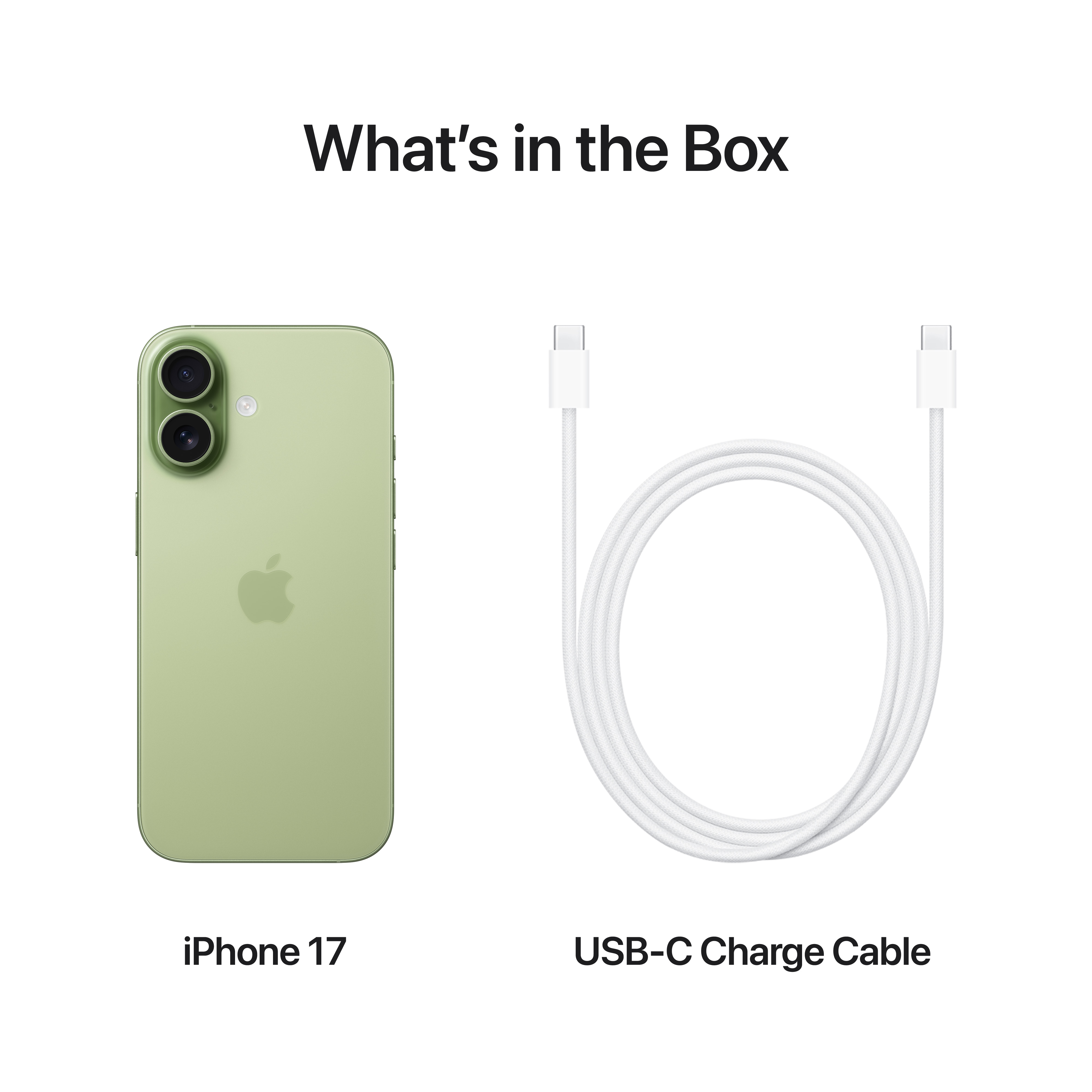 Das Bild zeigt ein iPhone 17 und ein USB-C-Ladekabel auf weißem Hintergrund. Das Telefon ist grün.