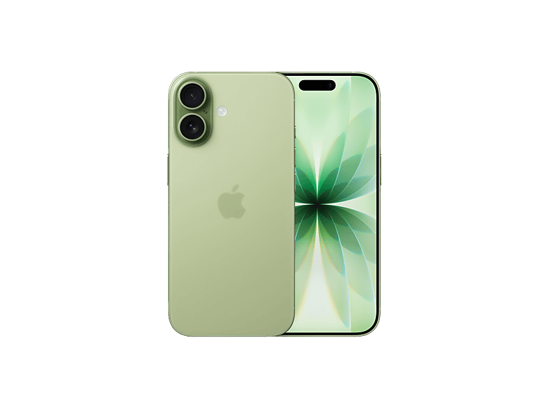 APPLE iPhone 17 5G 256 GB Salbei Dual SIM